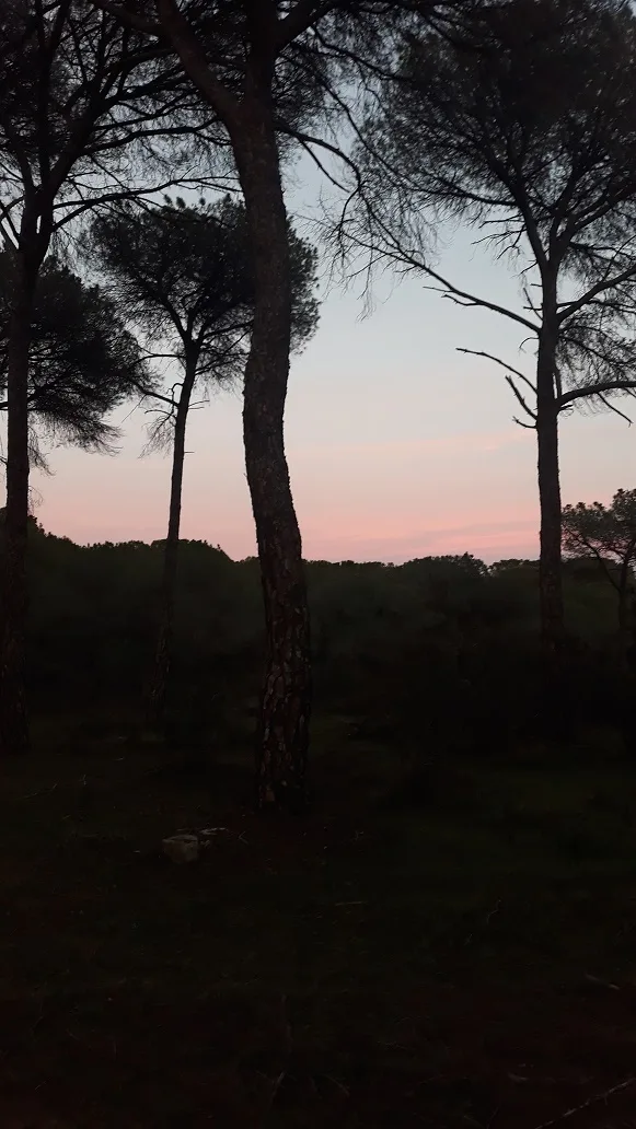 L'Andalousie