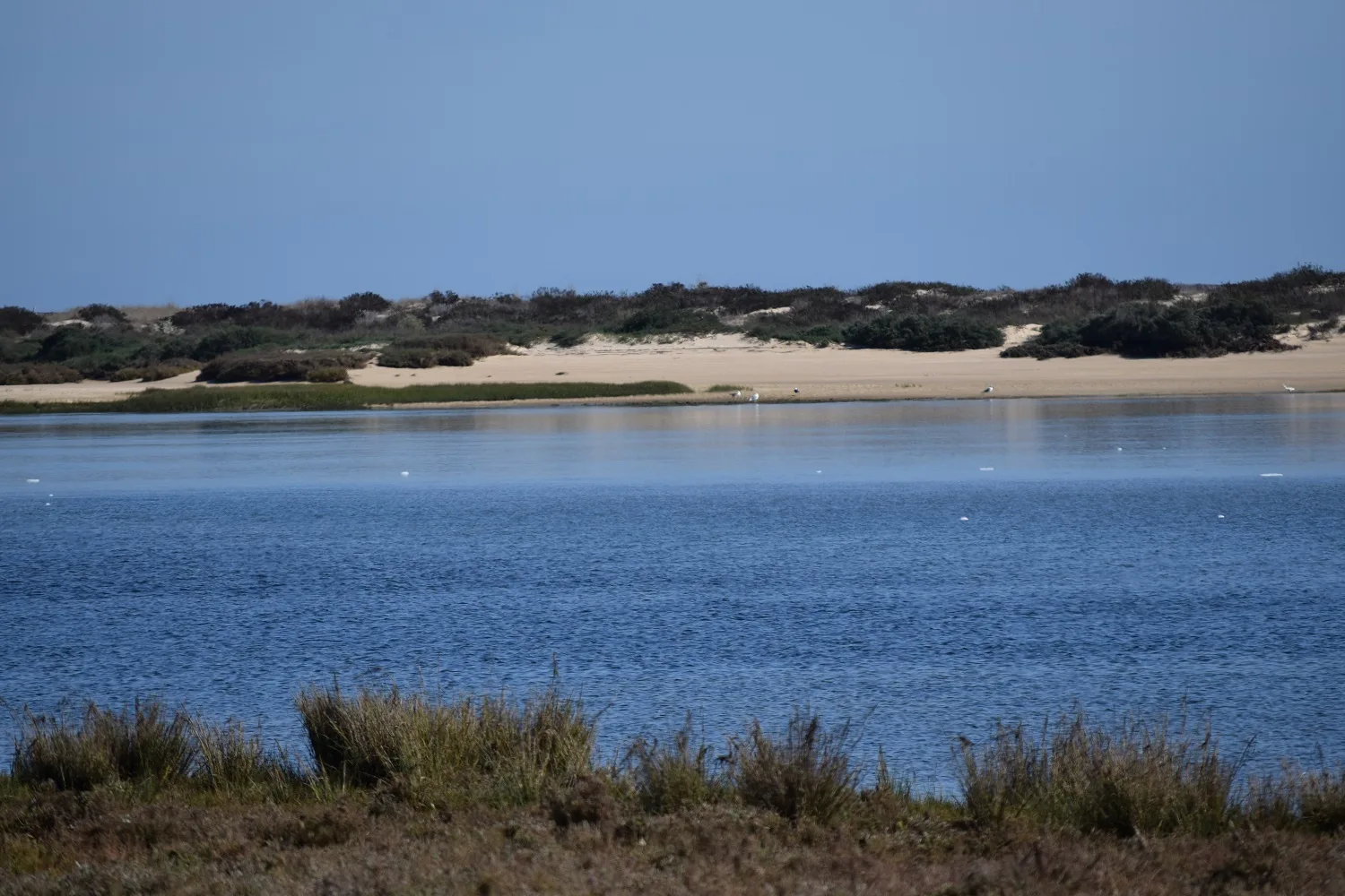 La lagune de Tavira