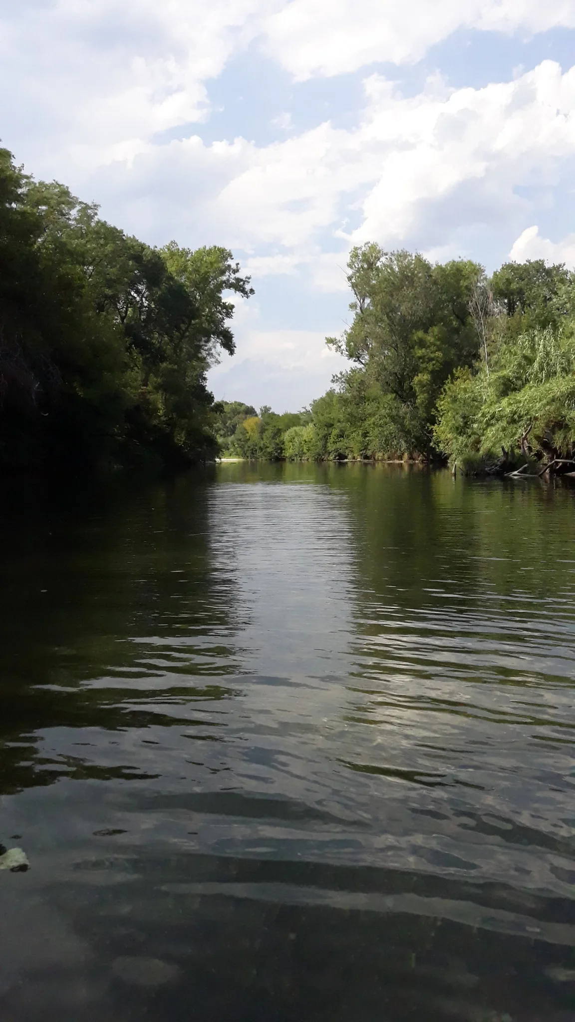 Un spot de rêve au bord de la Cèze près de Goudargues, parfait pour se détendre en famille.