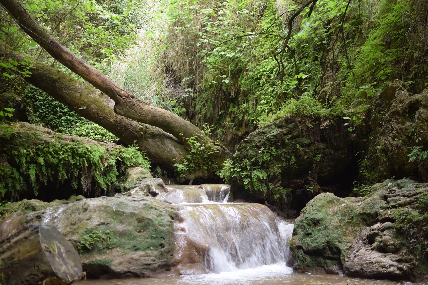 nature cascade