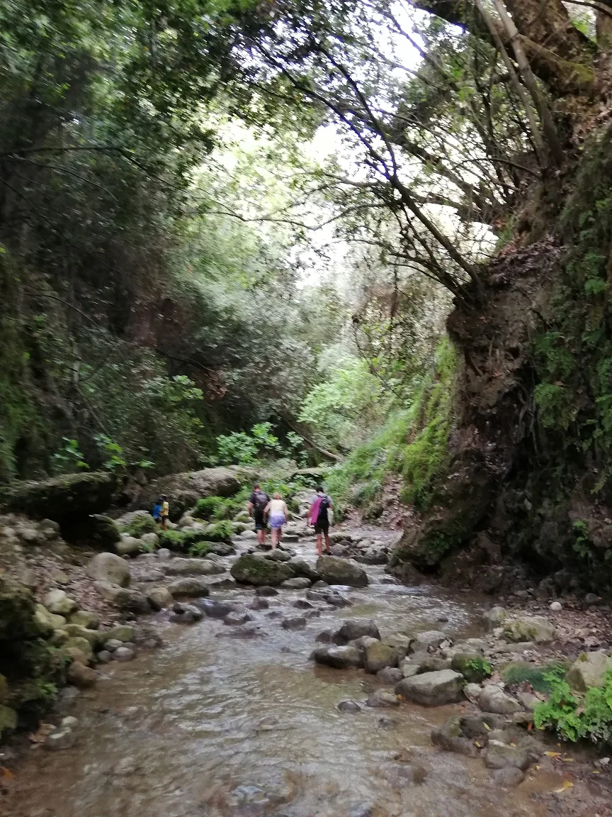 nature cascade