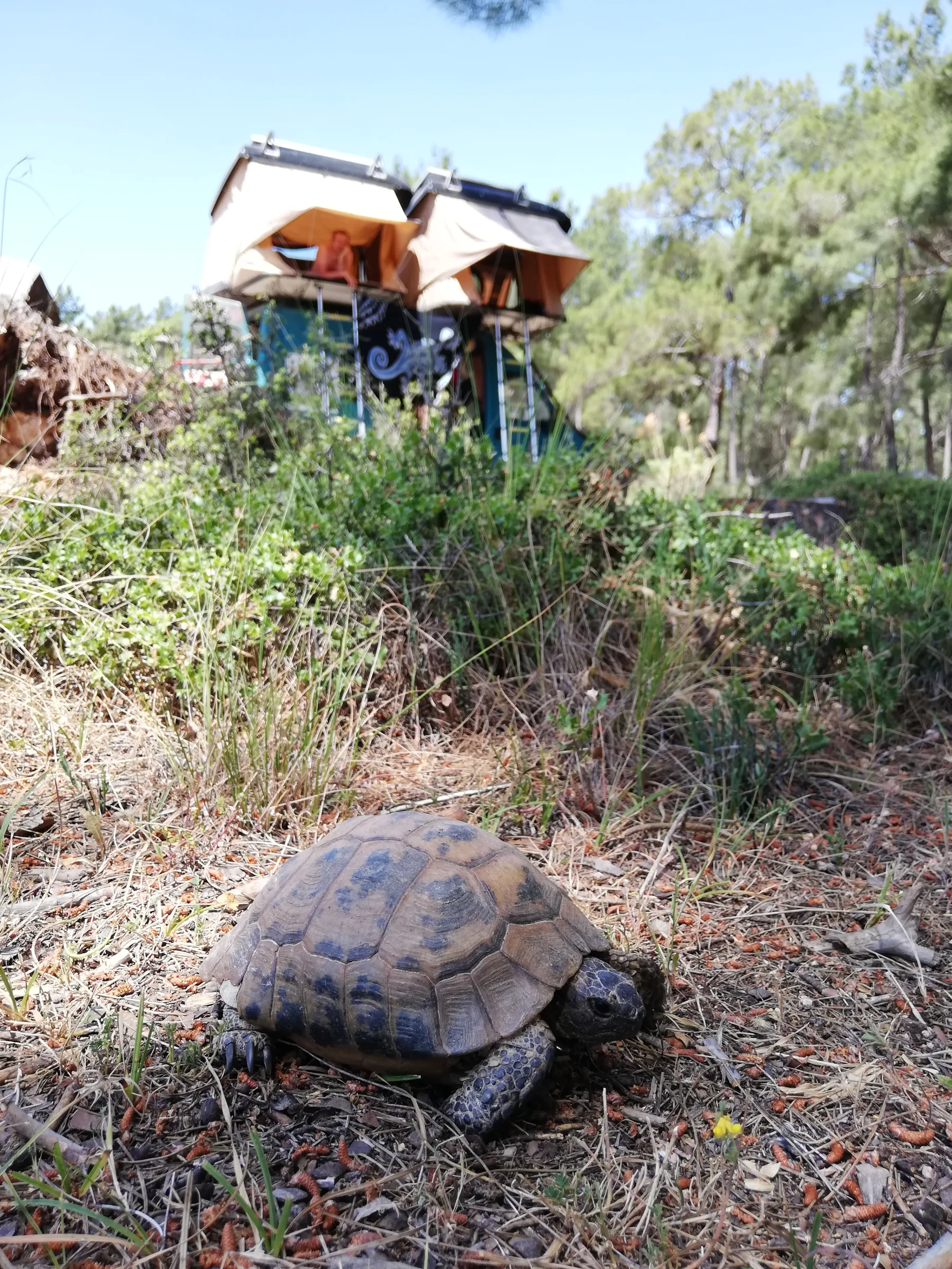 Antalya