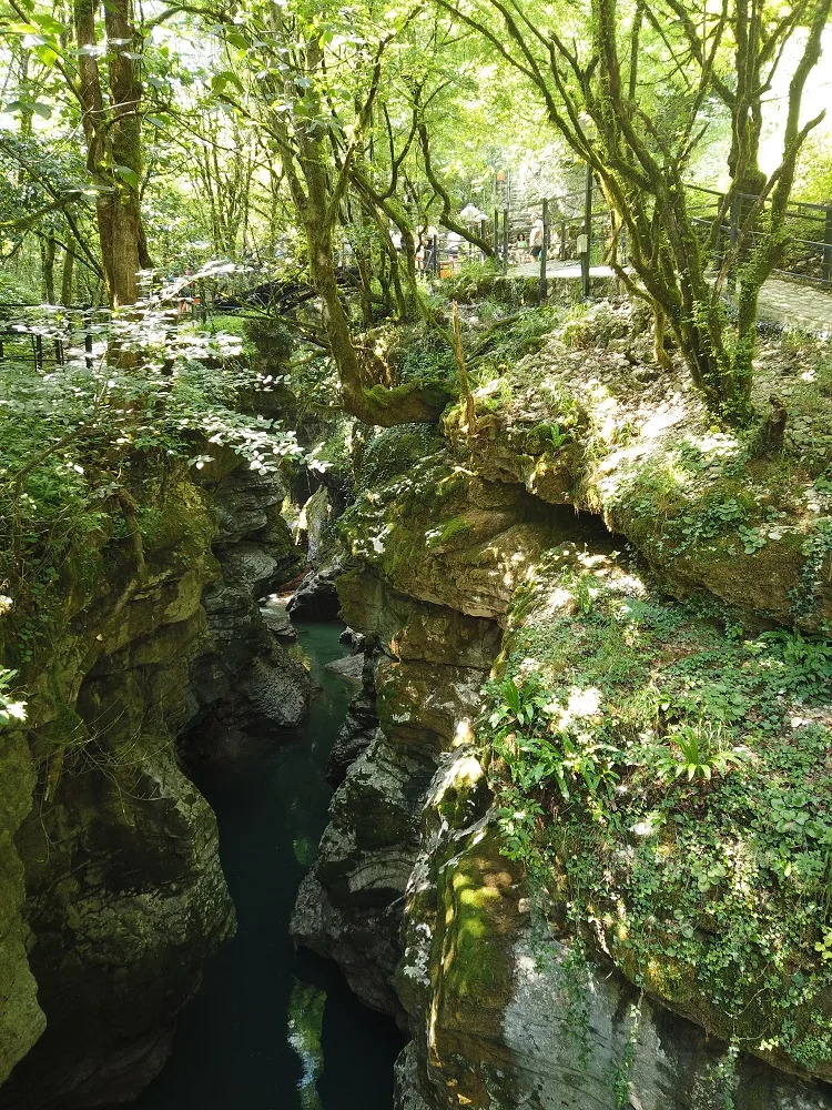 Géorgie