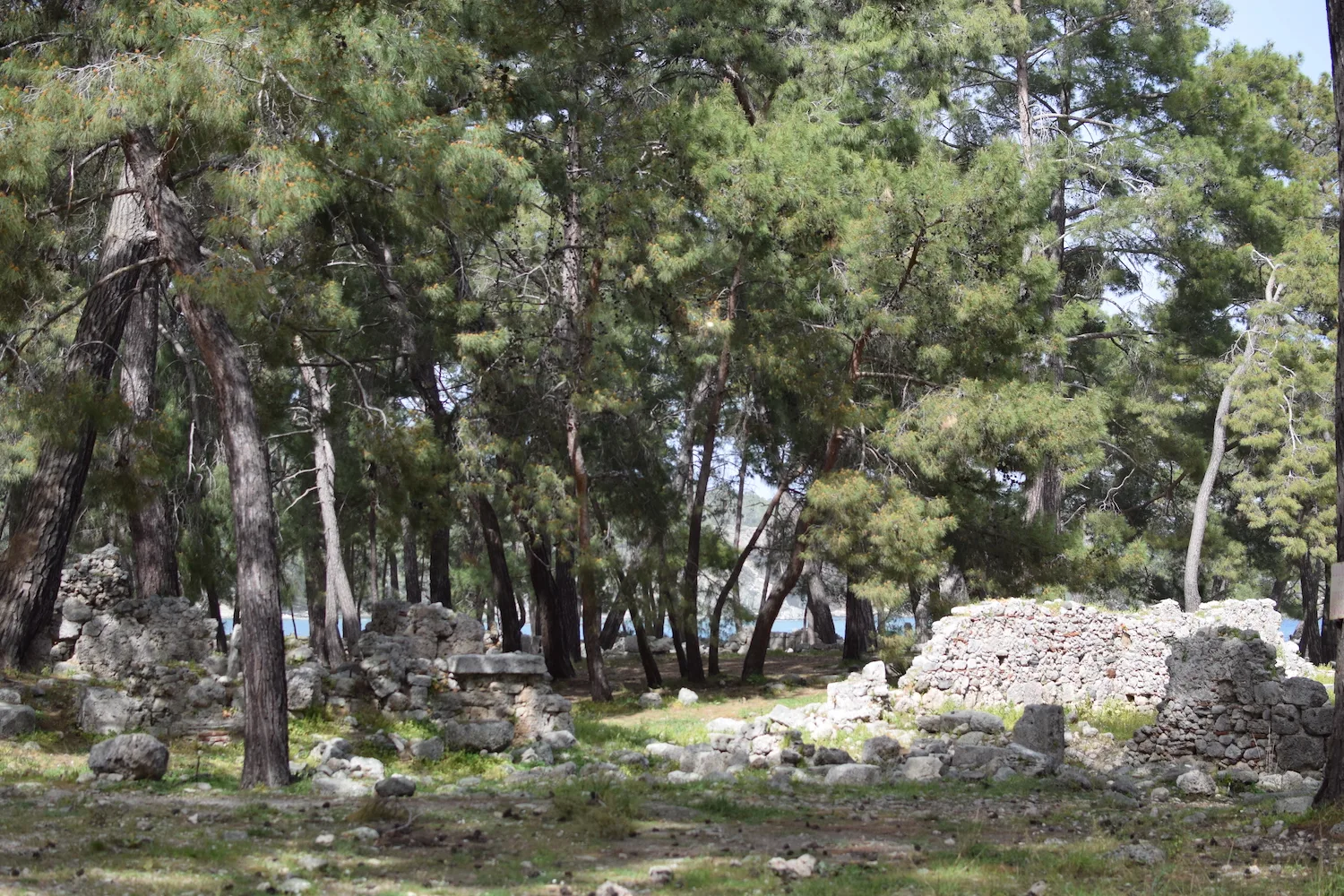 Visites Phasélis
