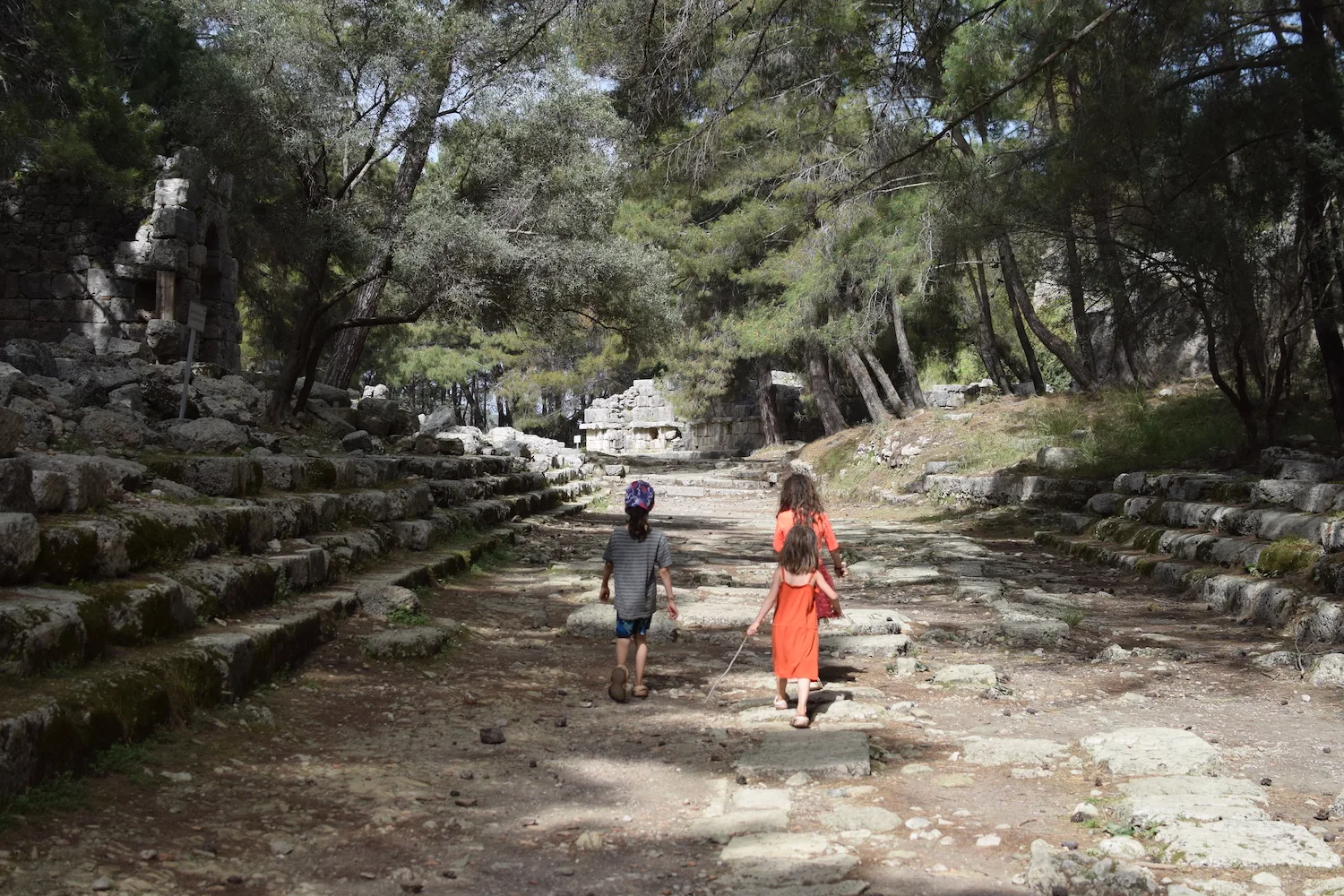 Visites Phasélis