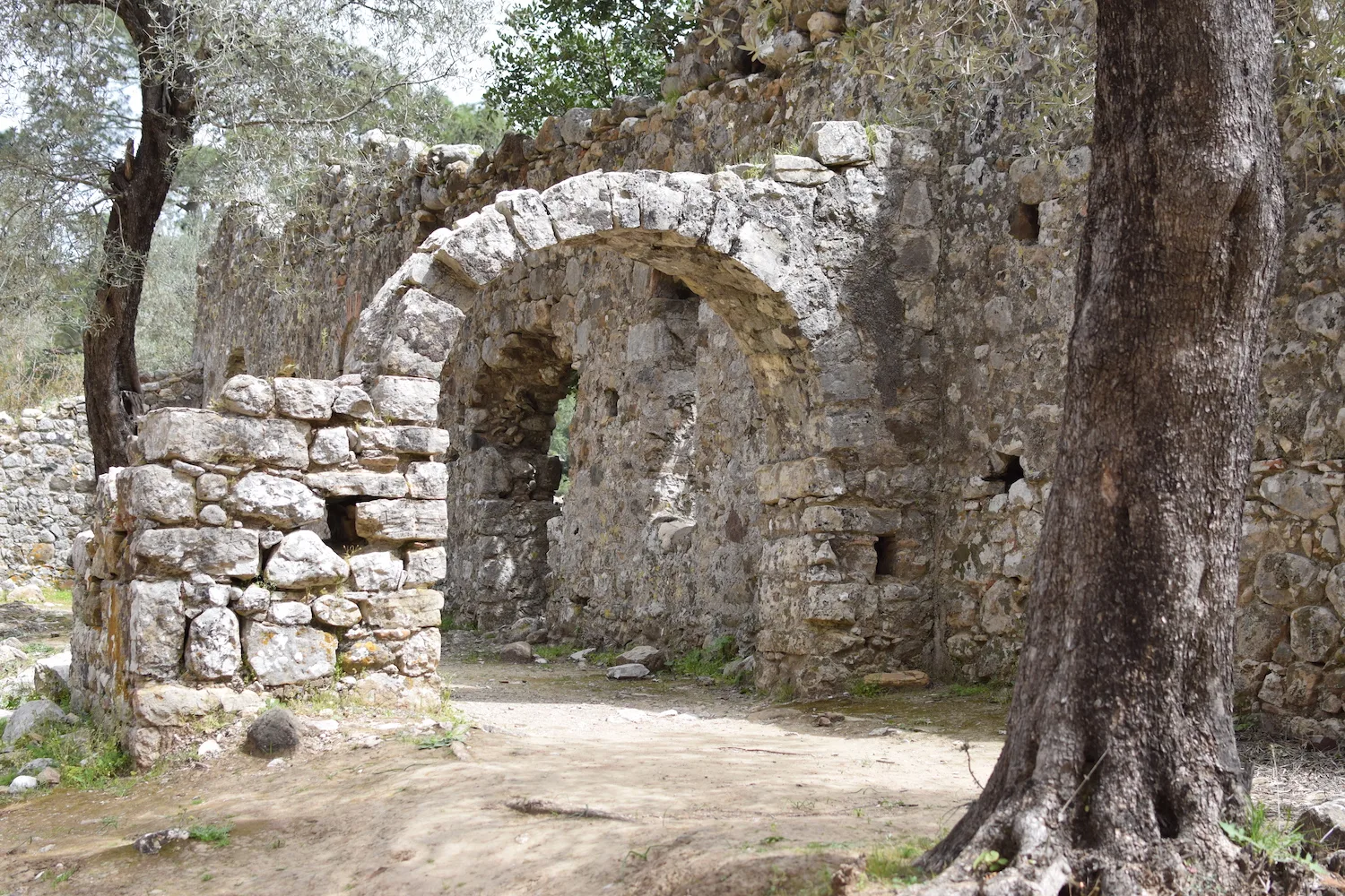 visites Olympos
