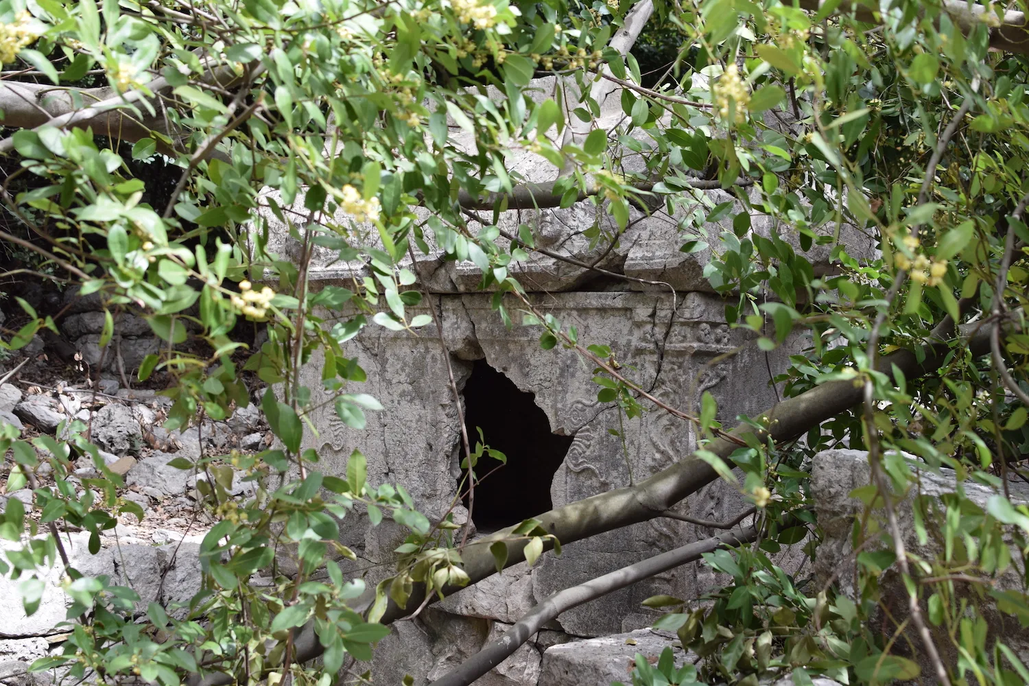 visites Olympos