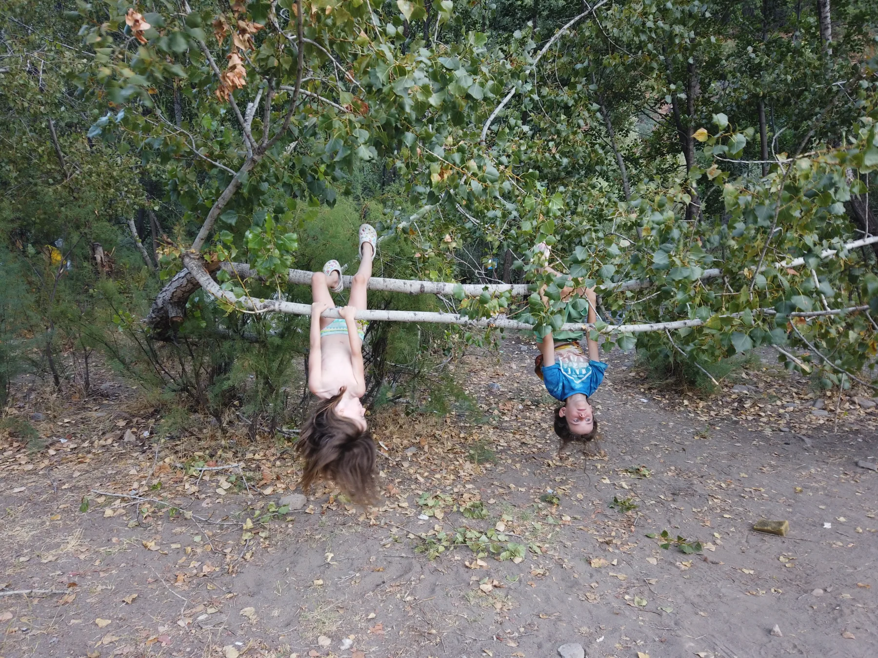 Parc naturel de Munzur