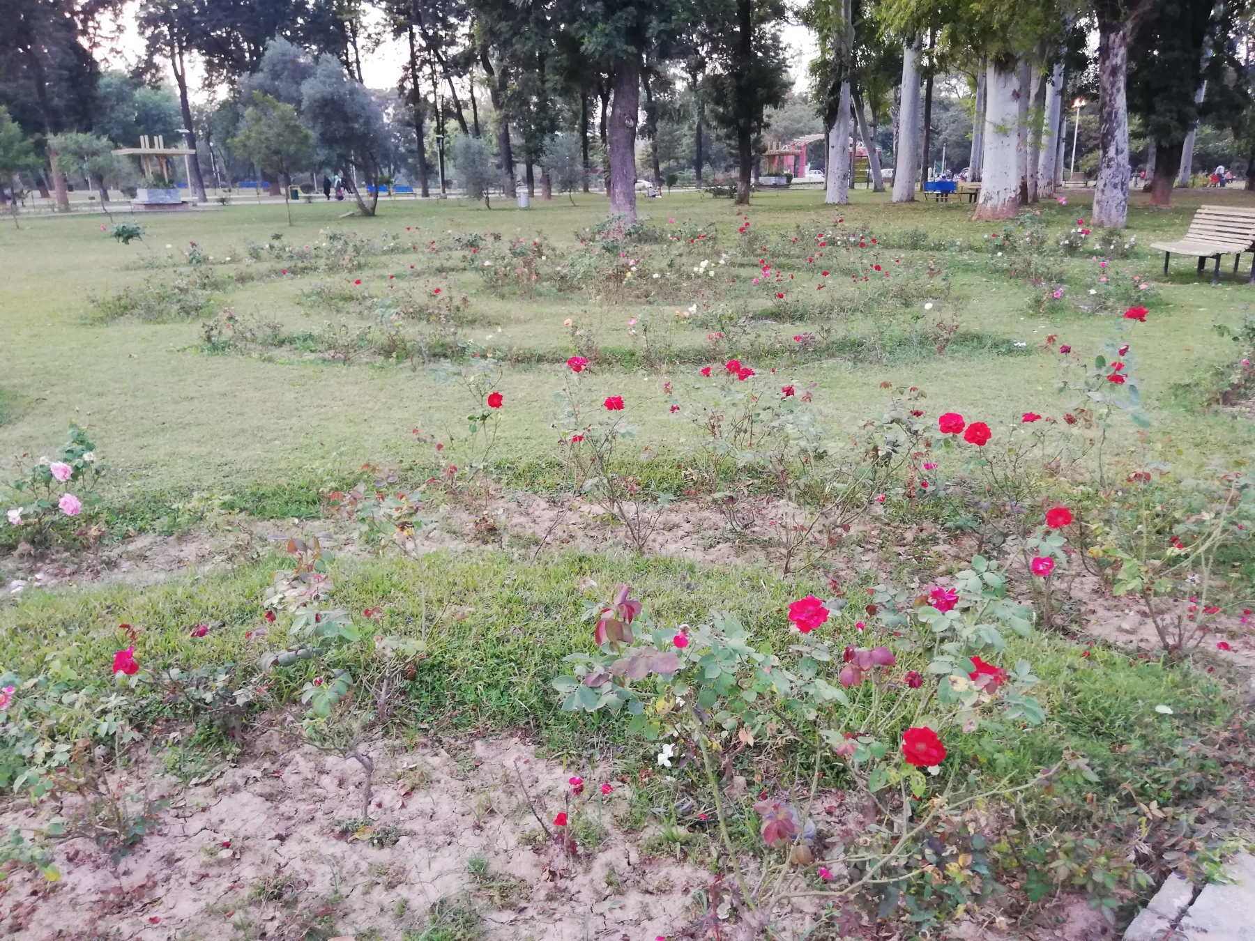Islamabad