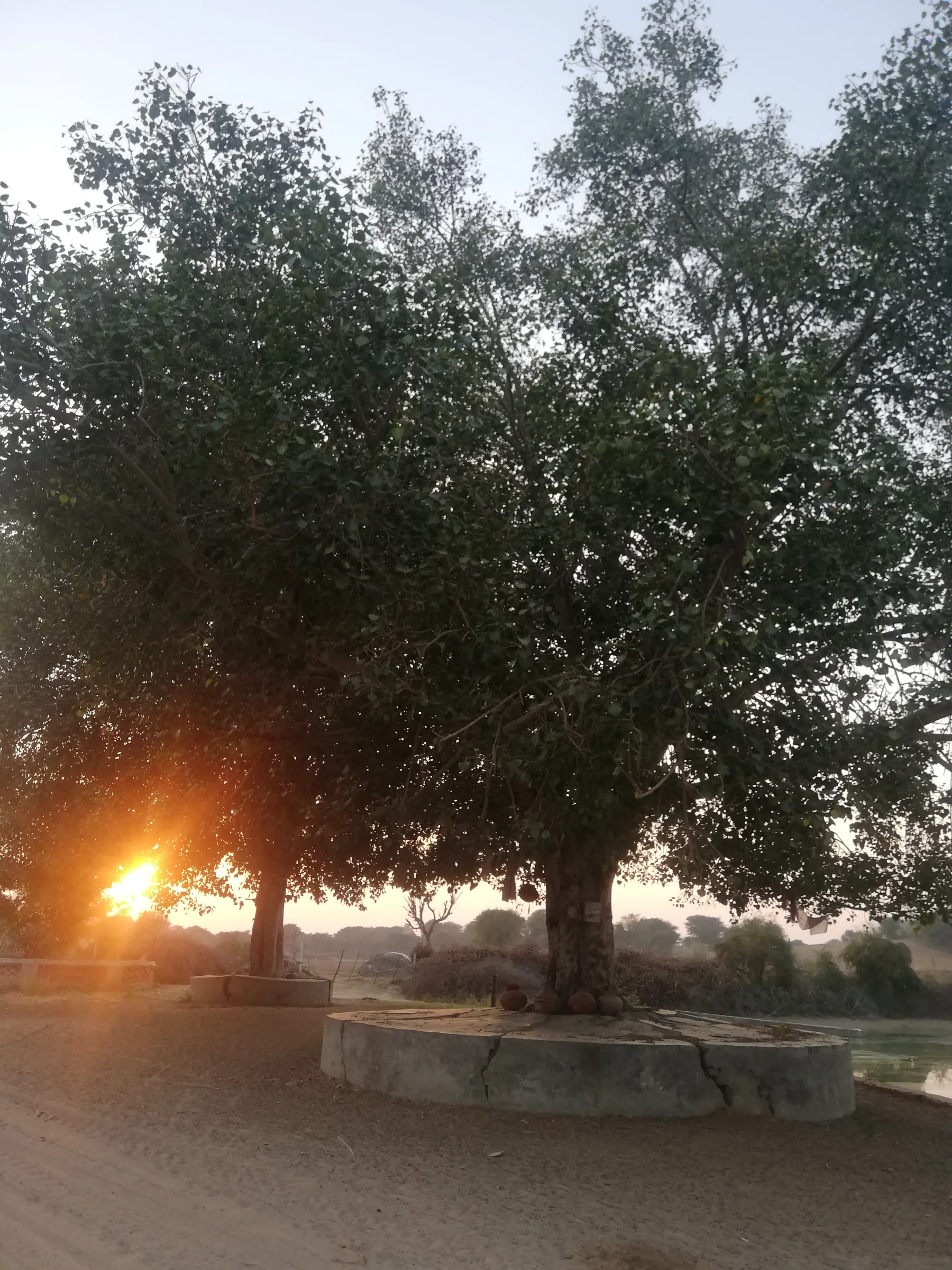 Rajasthan
