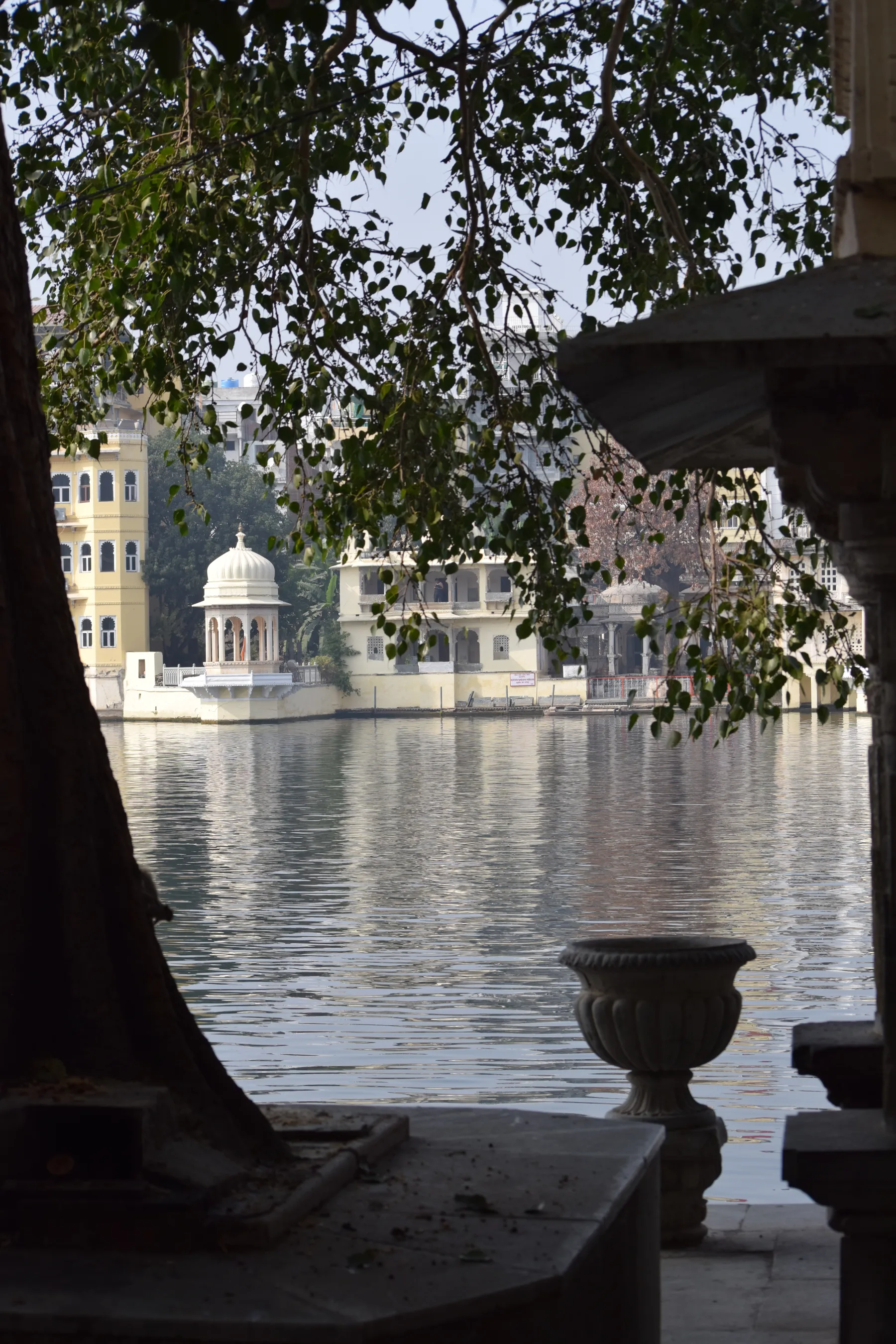 udaipur