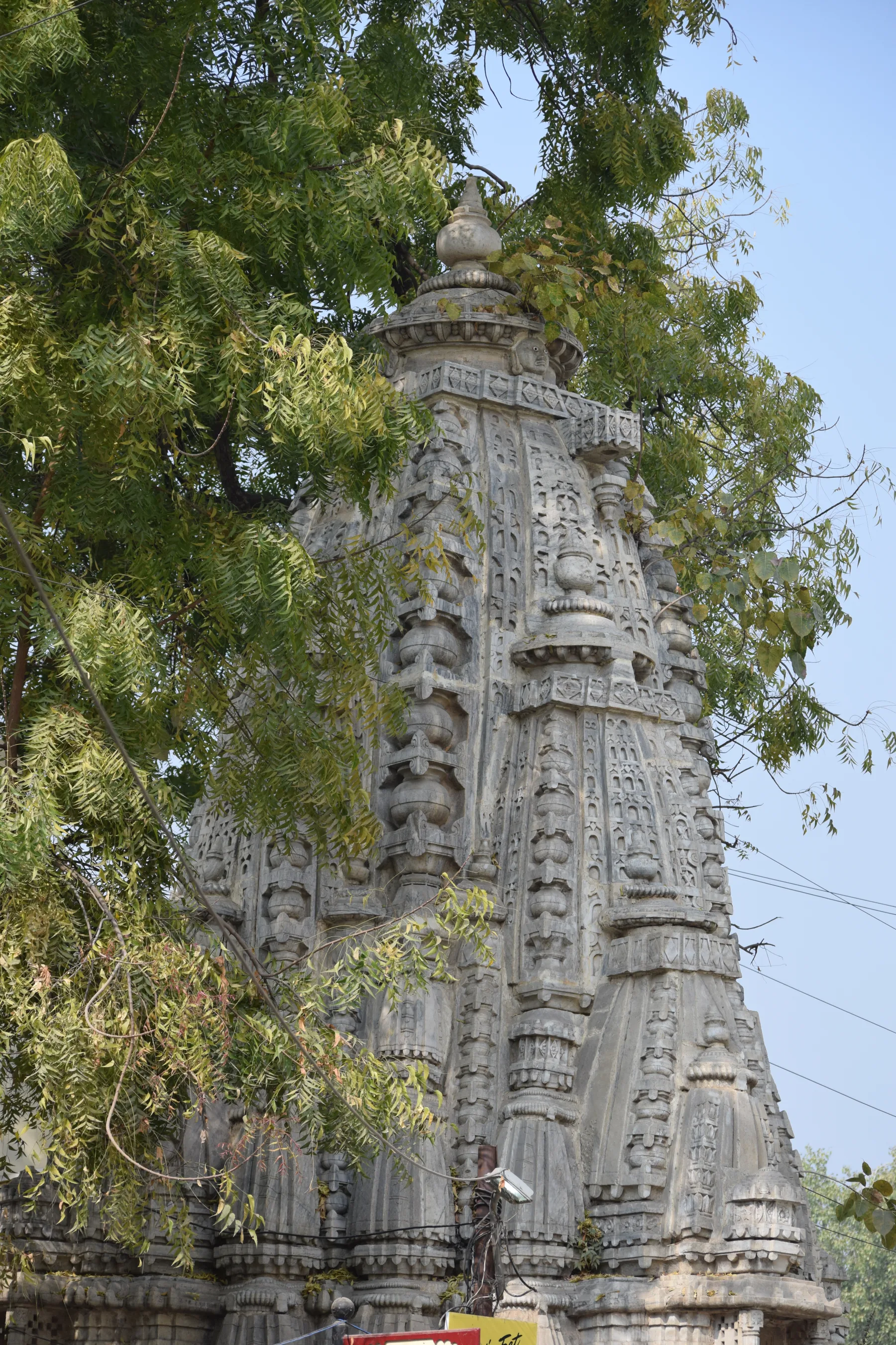 udaipur
