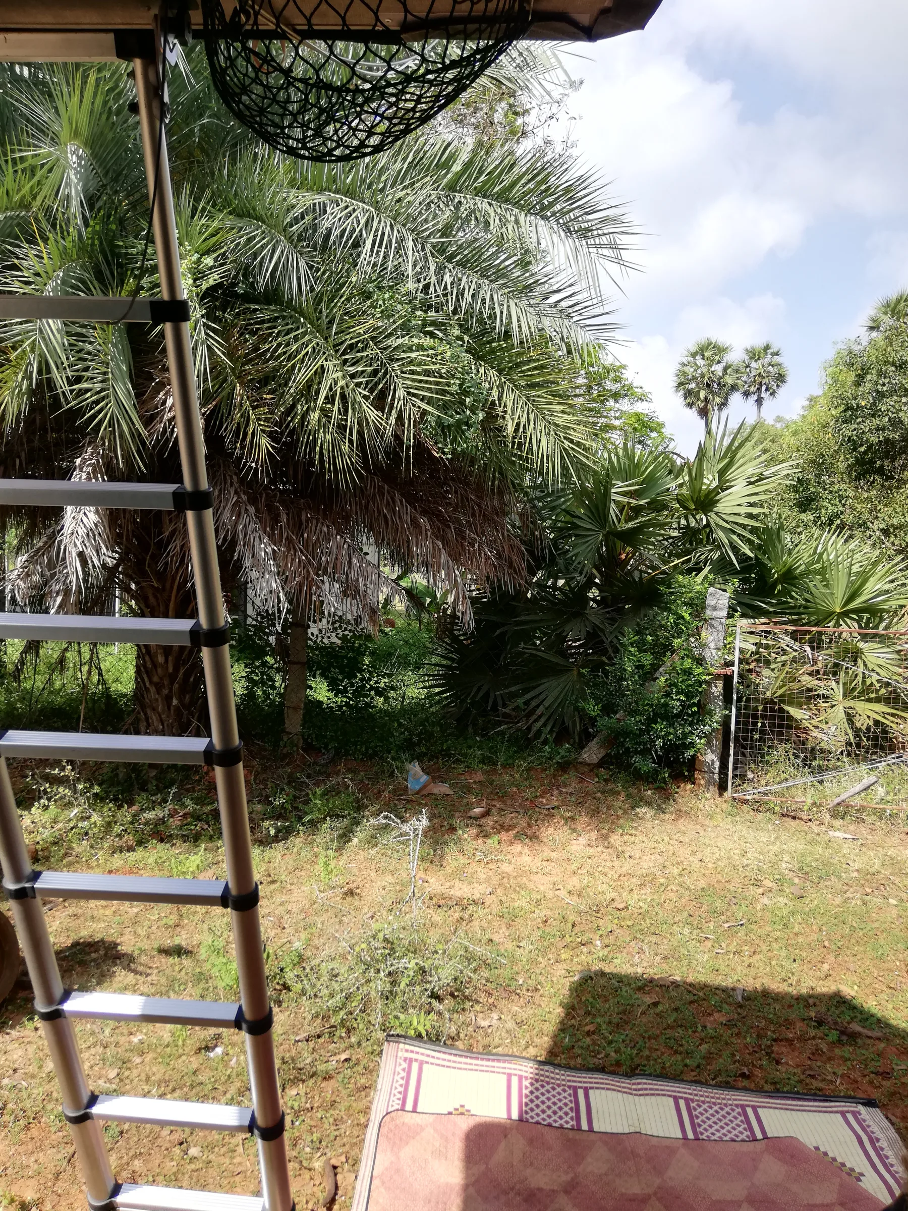 Auroville