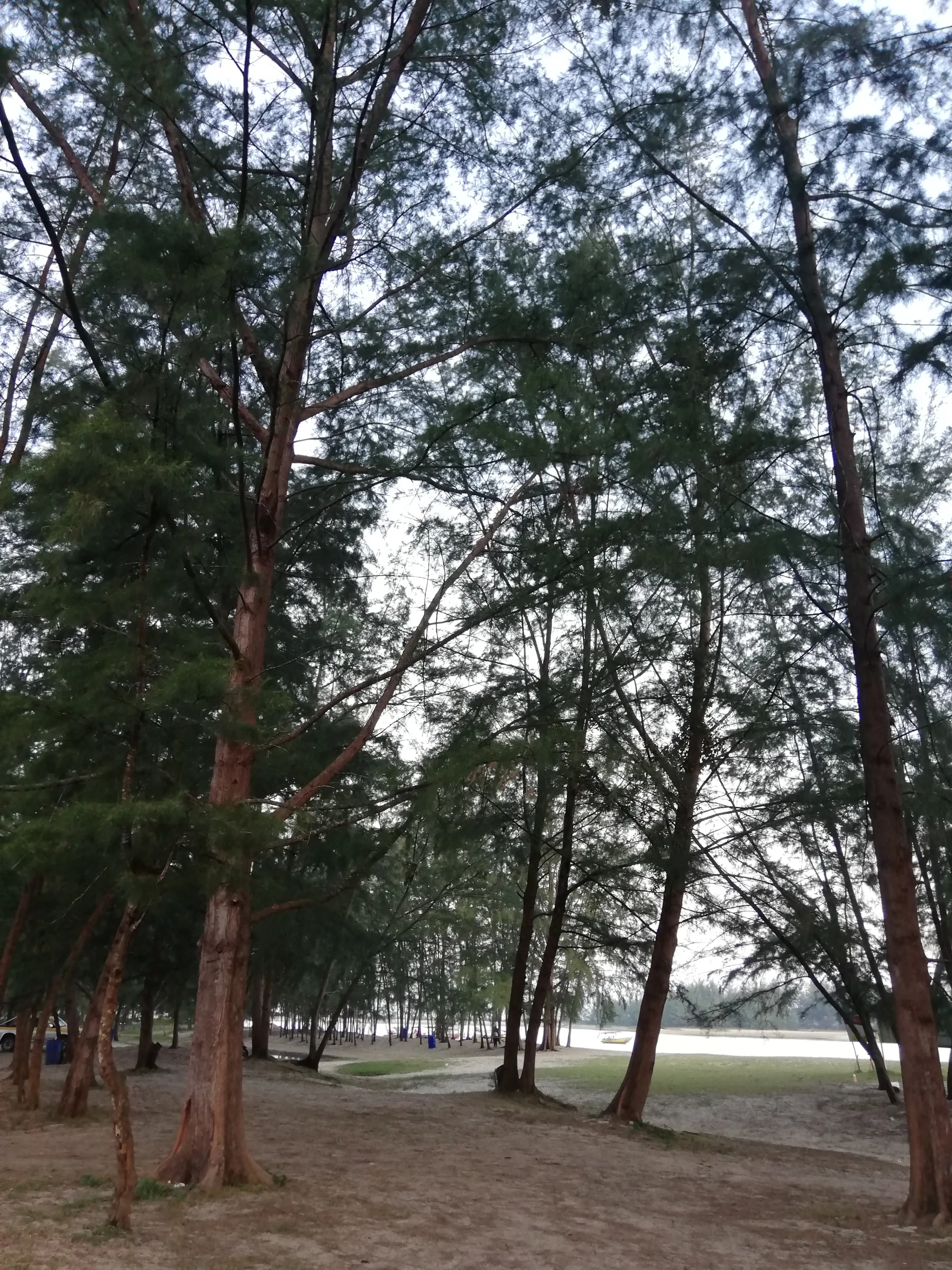Cherating