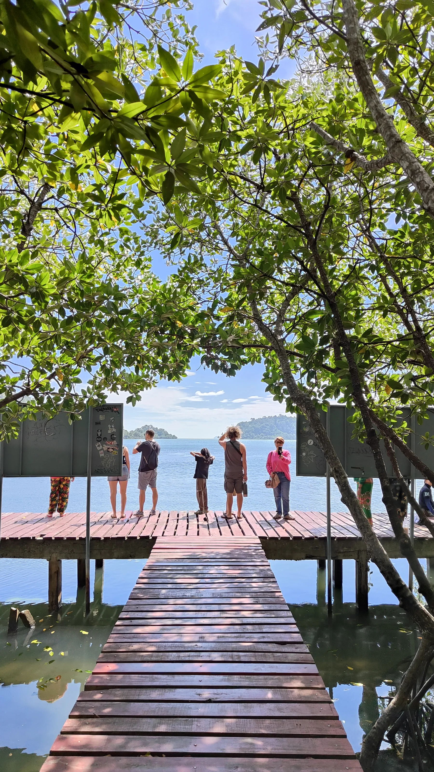 forêt de mangrove Baan Na Nai