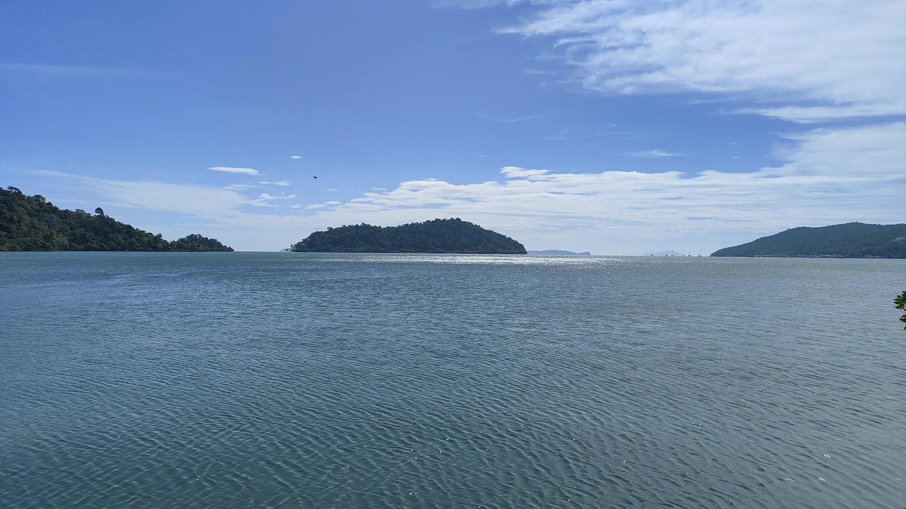 forêt de mangrove Baan Na Nai