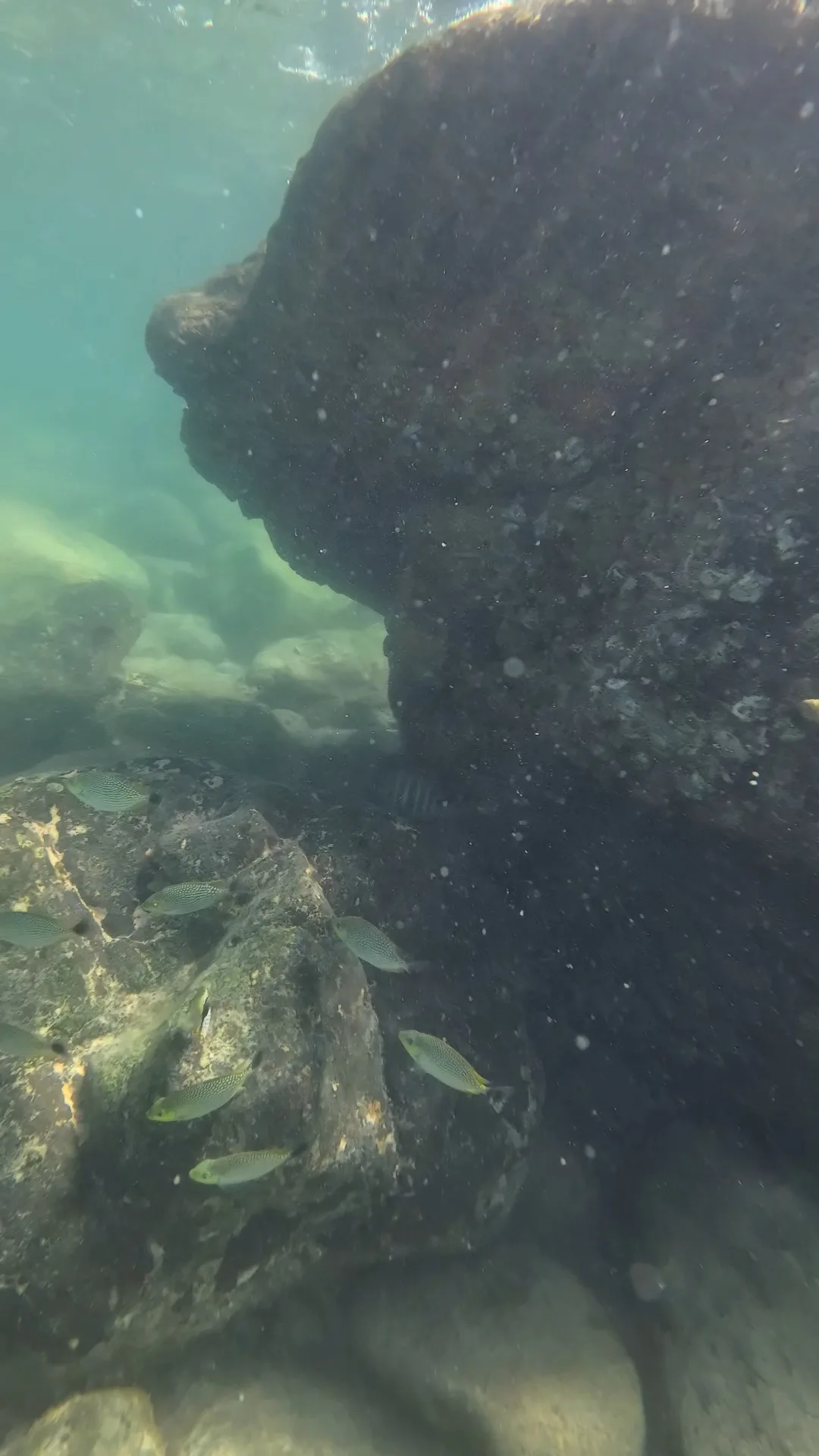 snorkeling