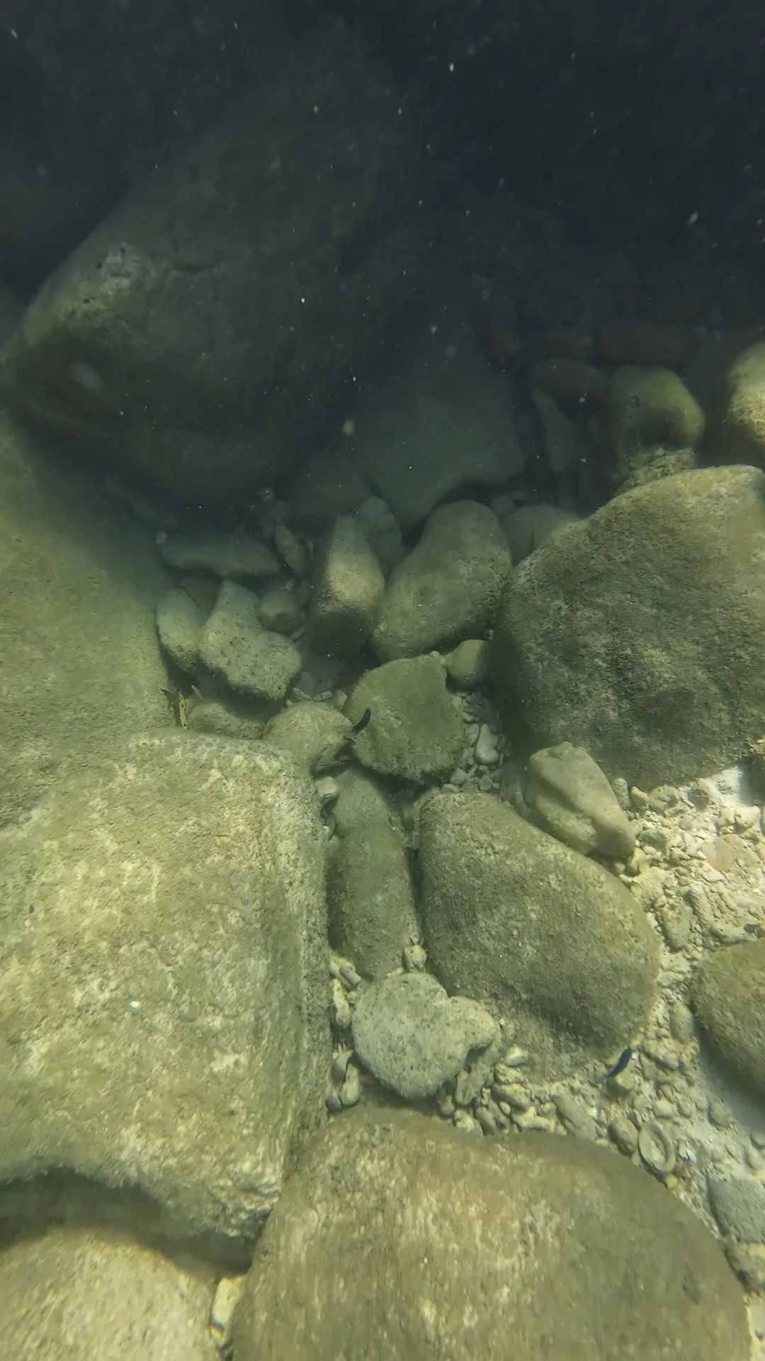 snorkeling