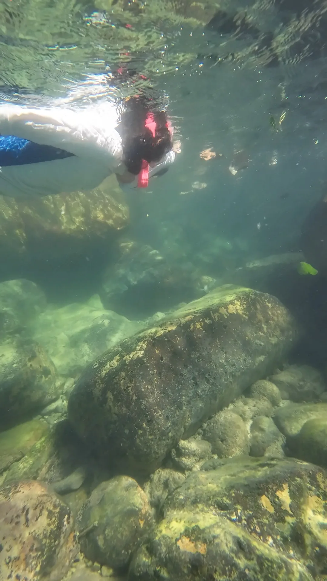 snorkeling