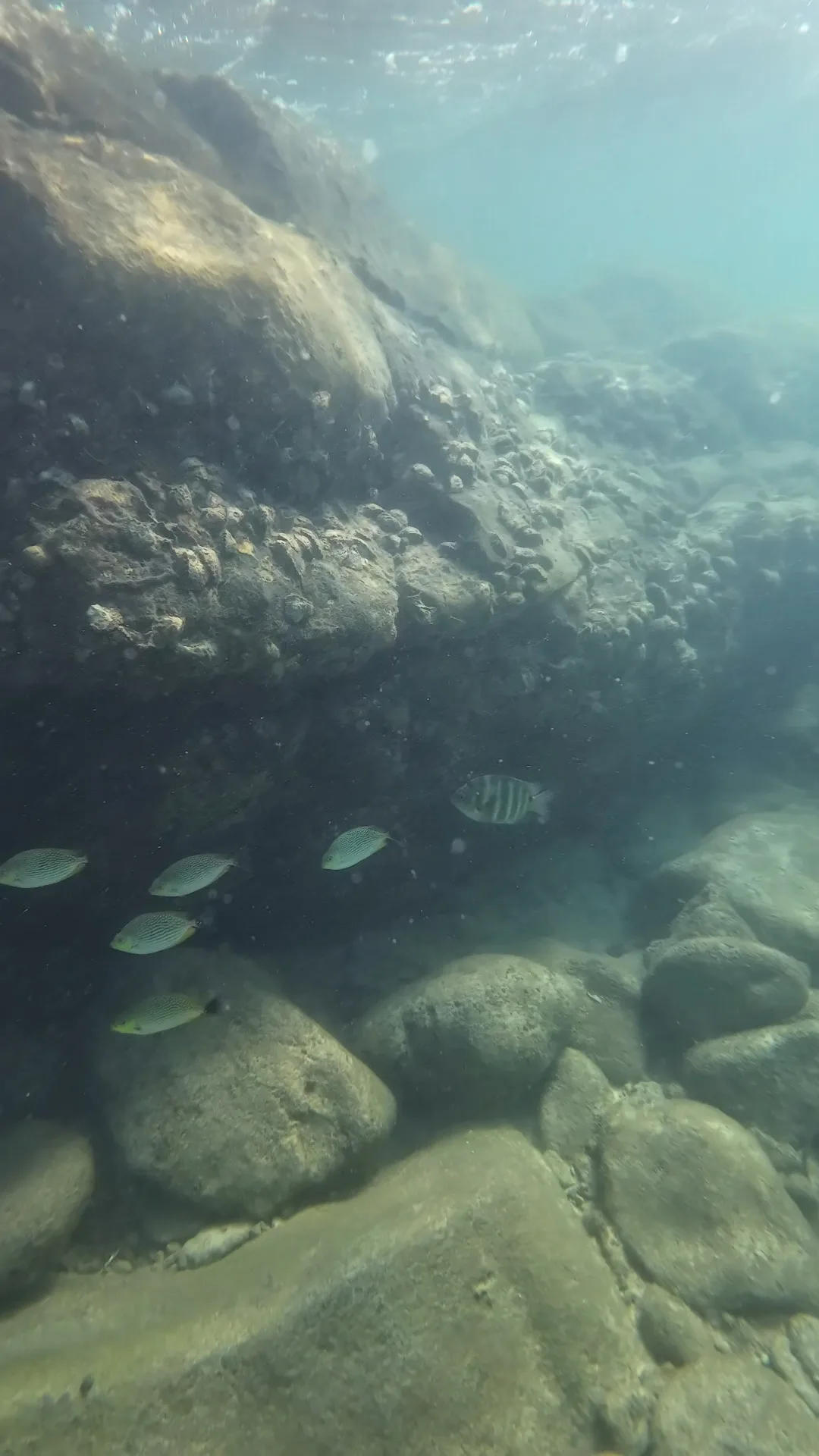snorkeling