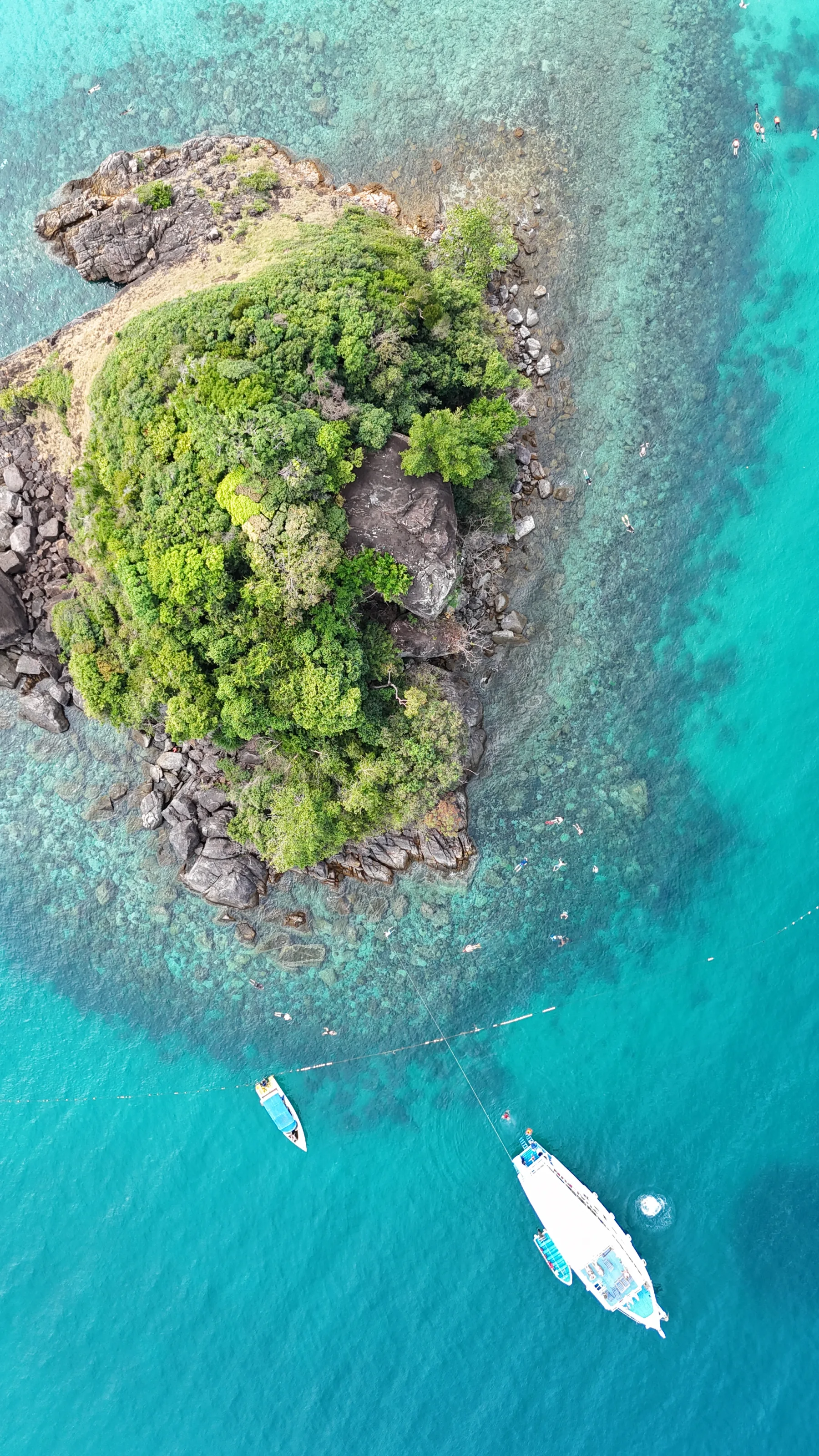 île