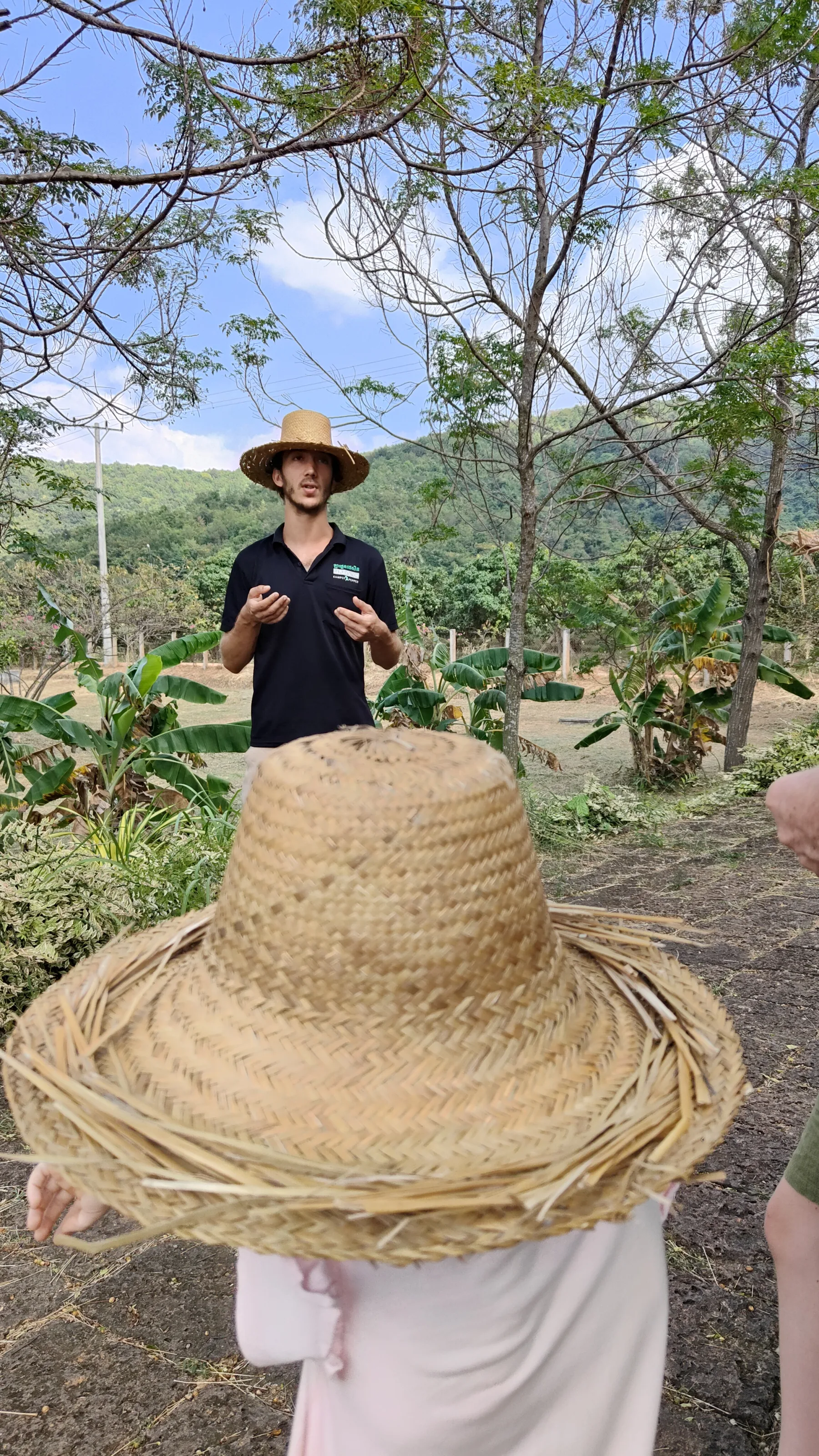 la plantation