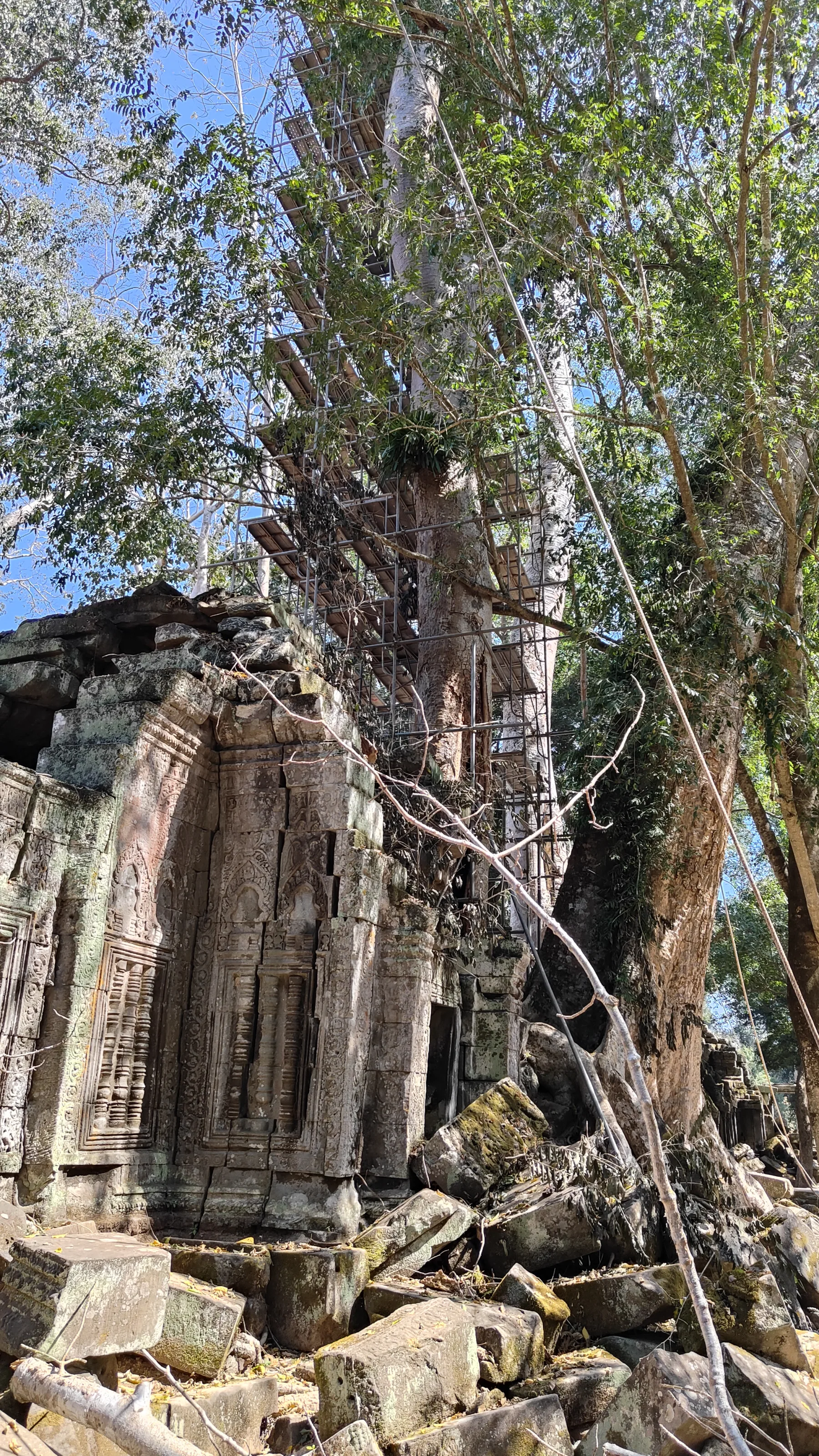 Ta prohm