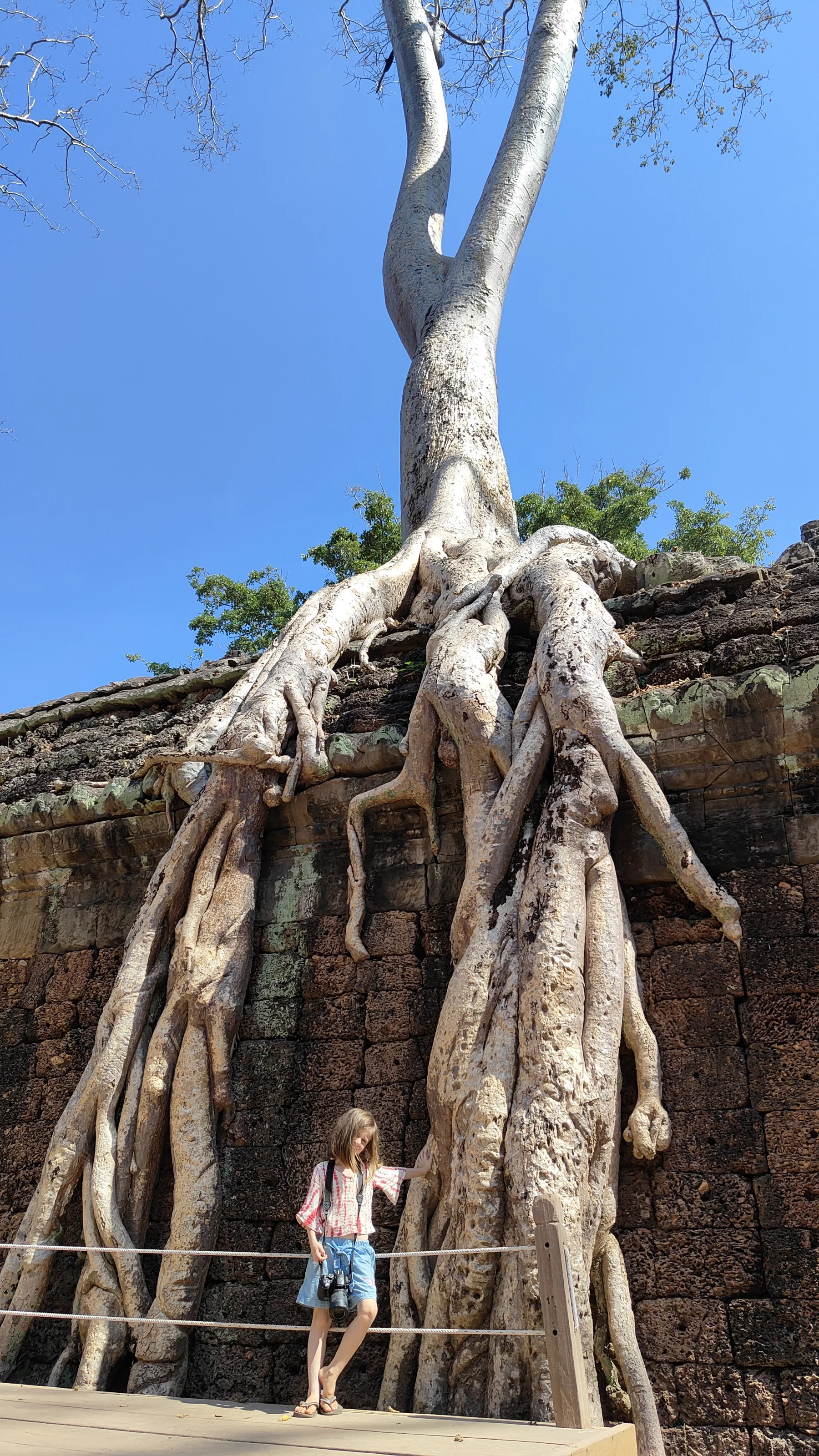 Ta prohm