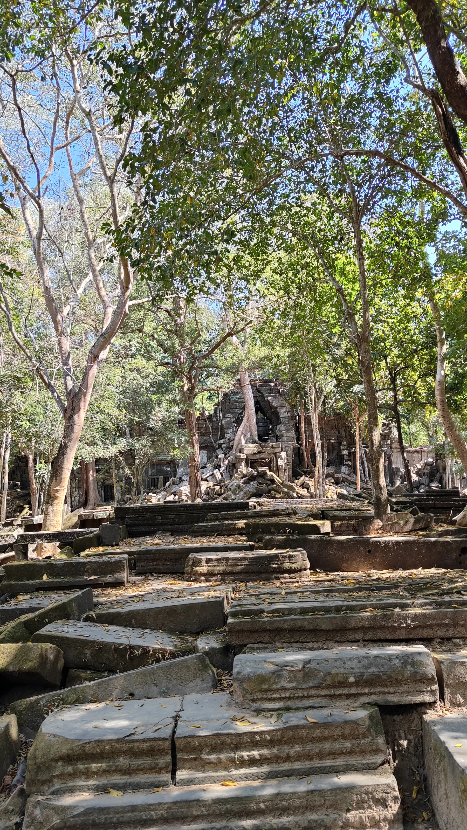 Beng Mealea
