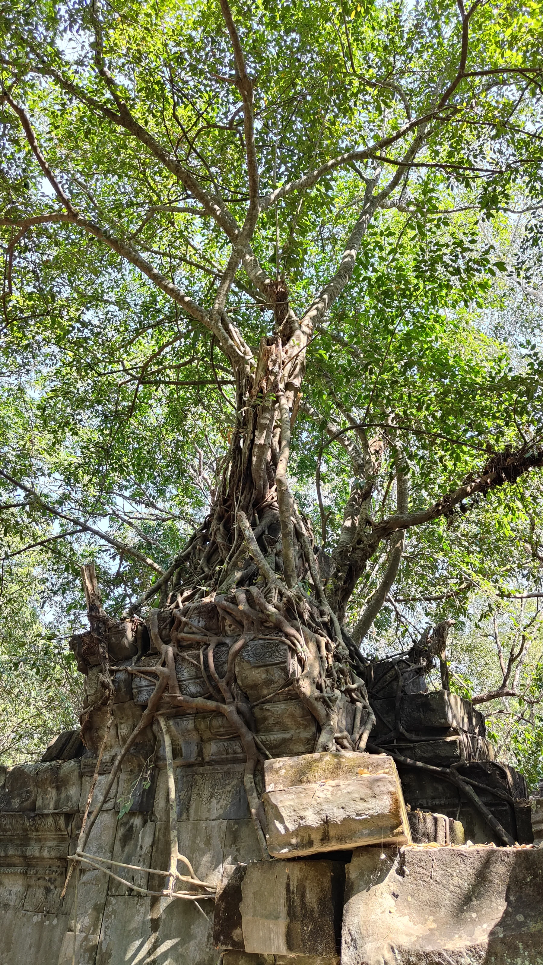 Beng Mealea