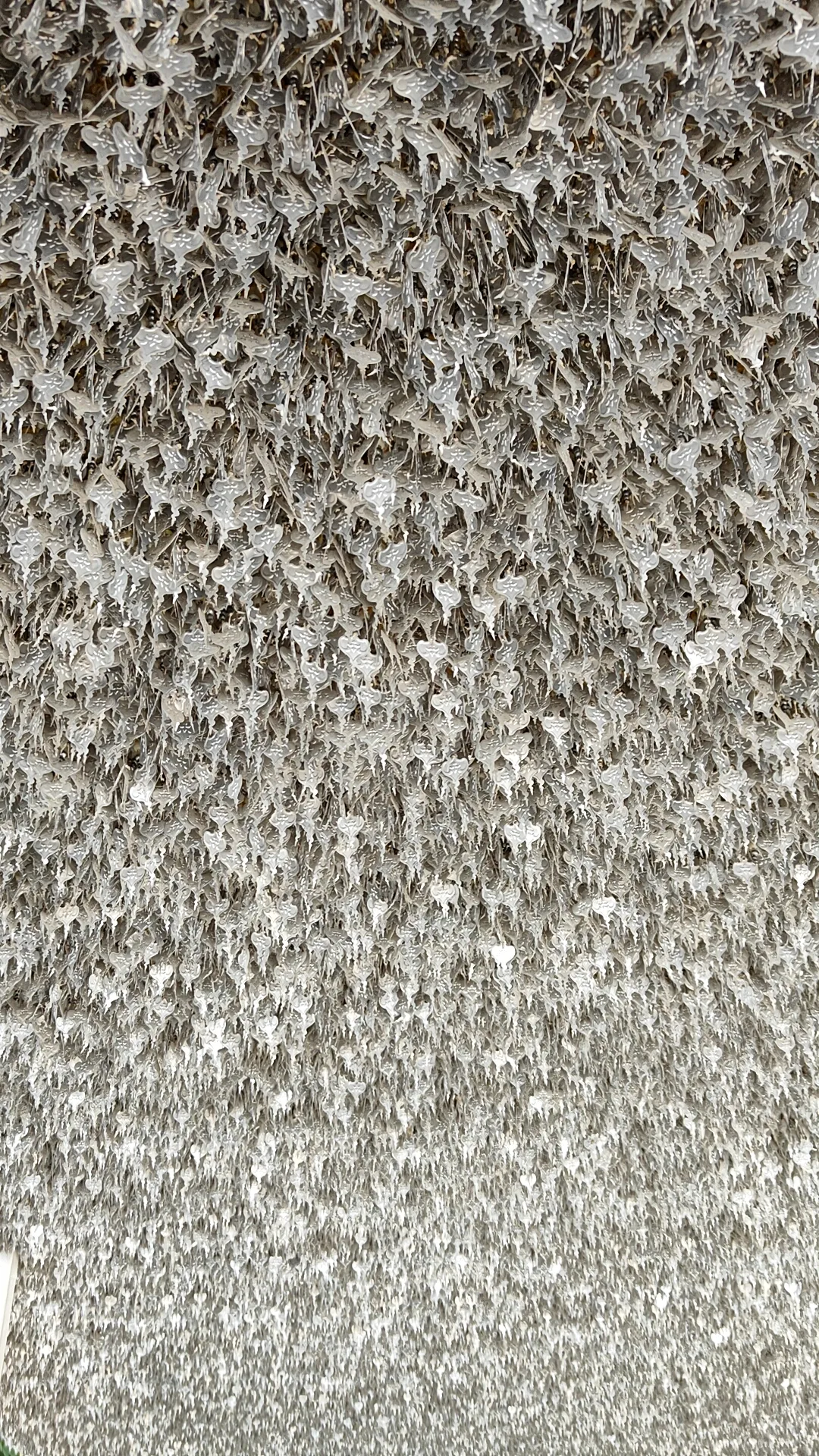 Temple blanc - Chiang Rai