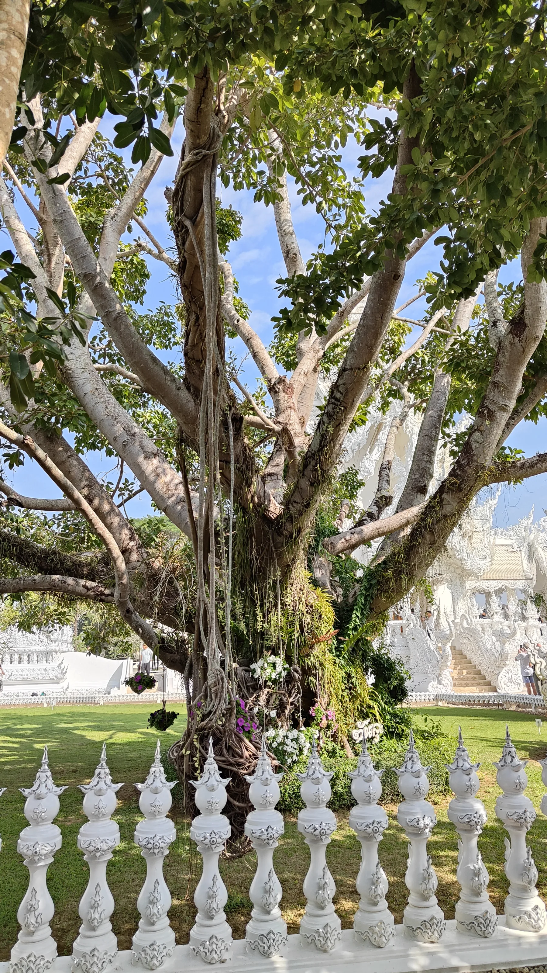 Temple blanc - Chiang Rai
