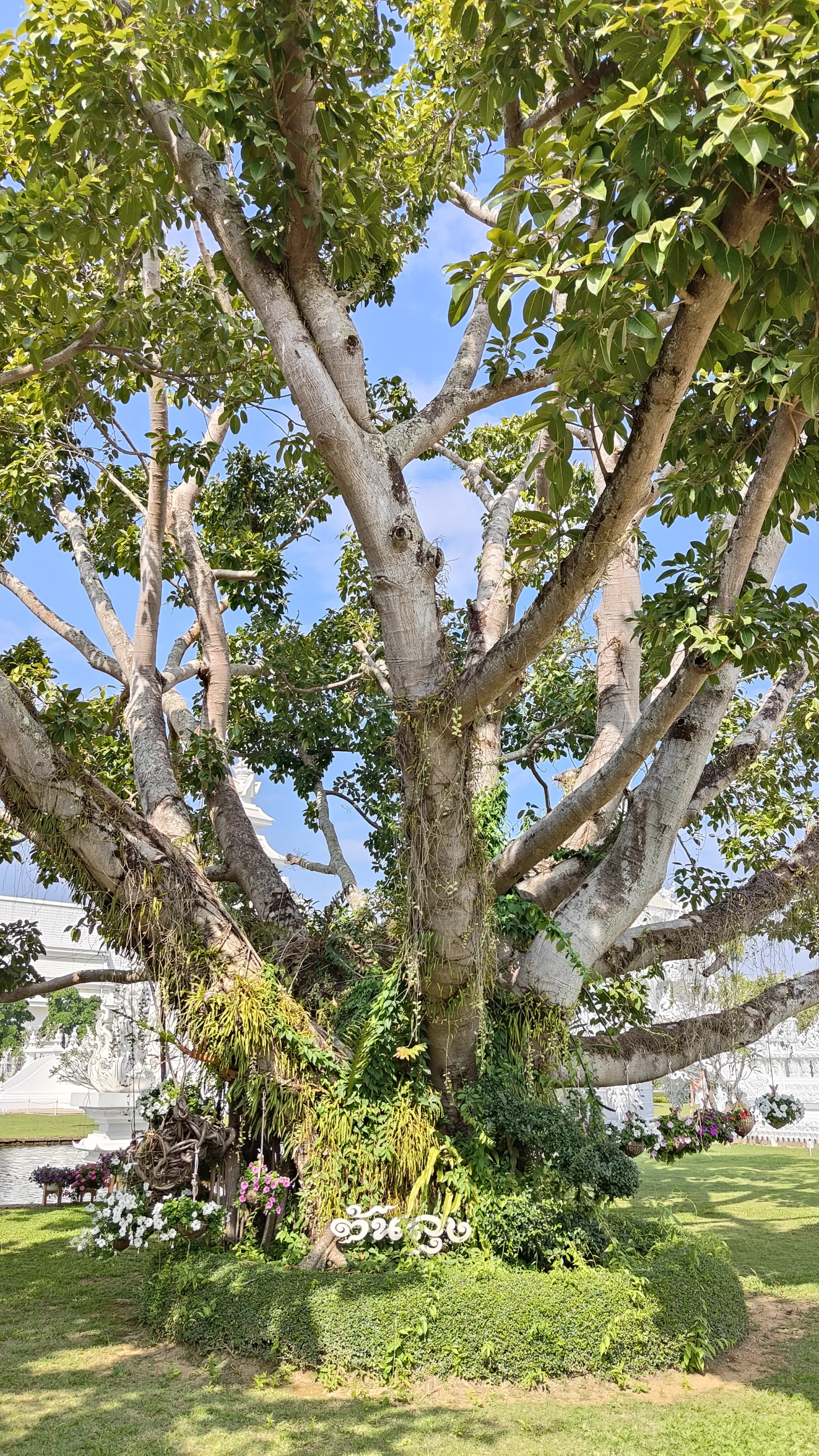 Temple blanc - Chiang Rai