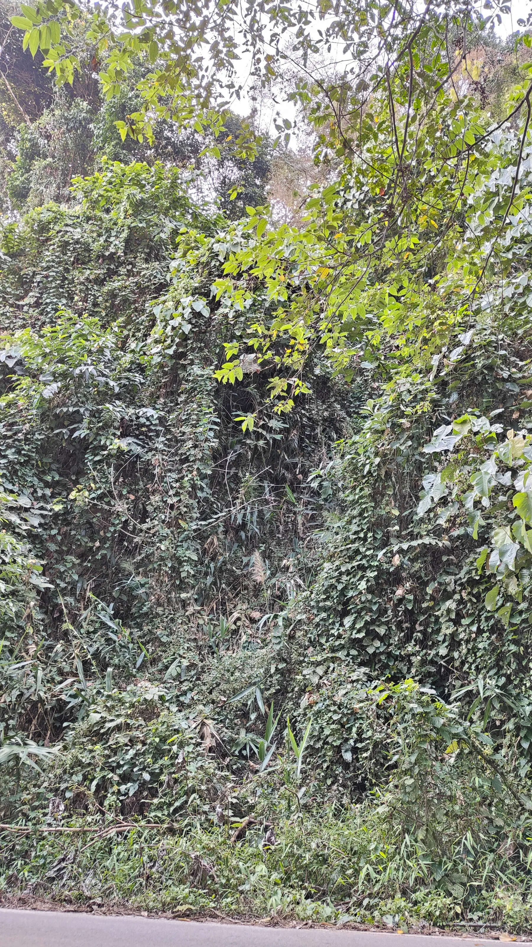 Route Triangle d'or