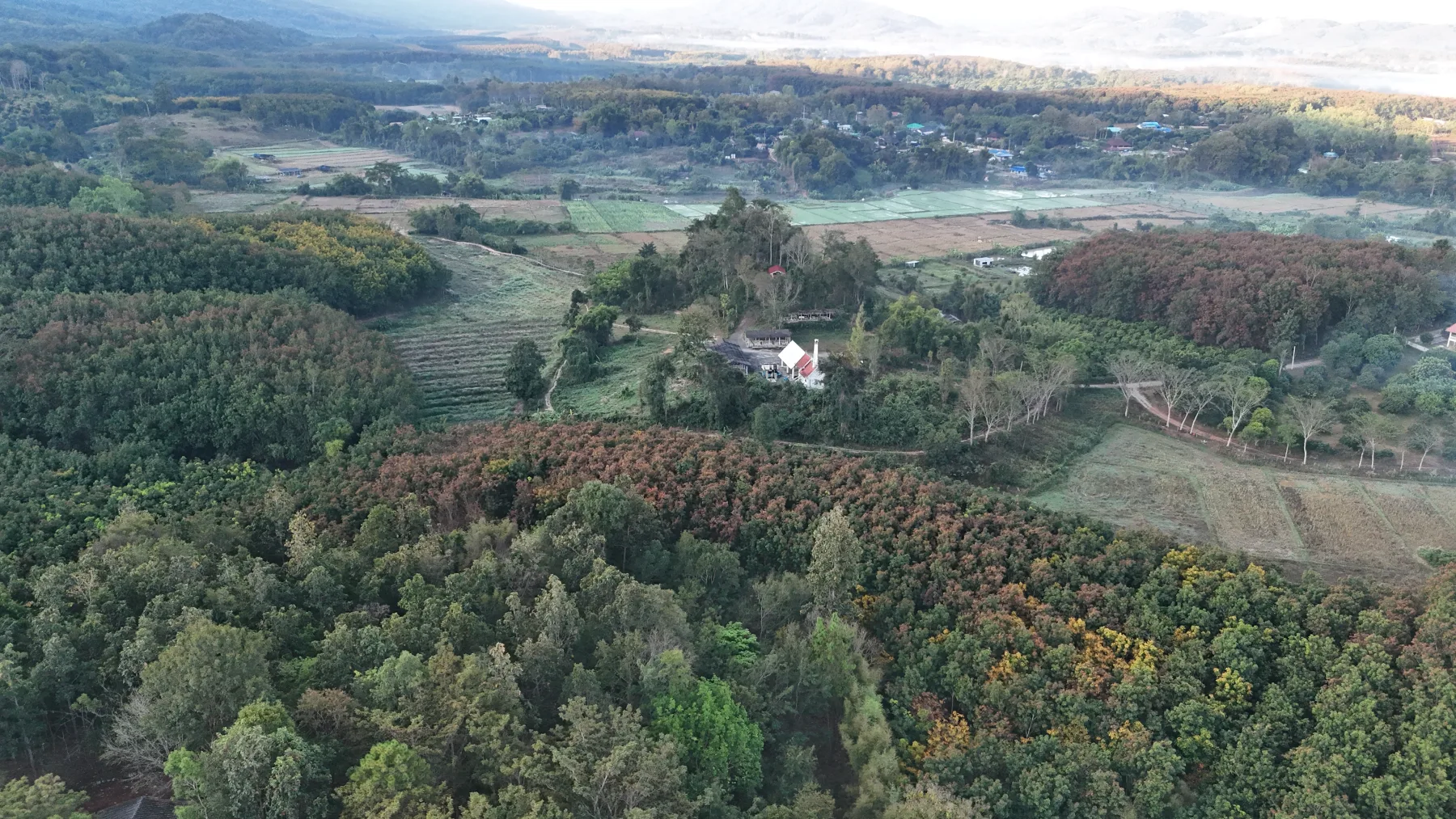 Paysage