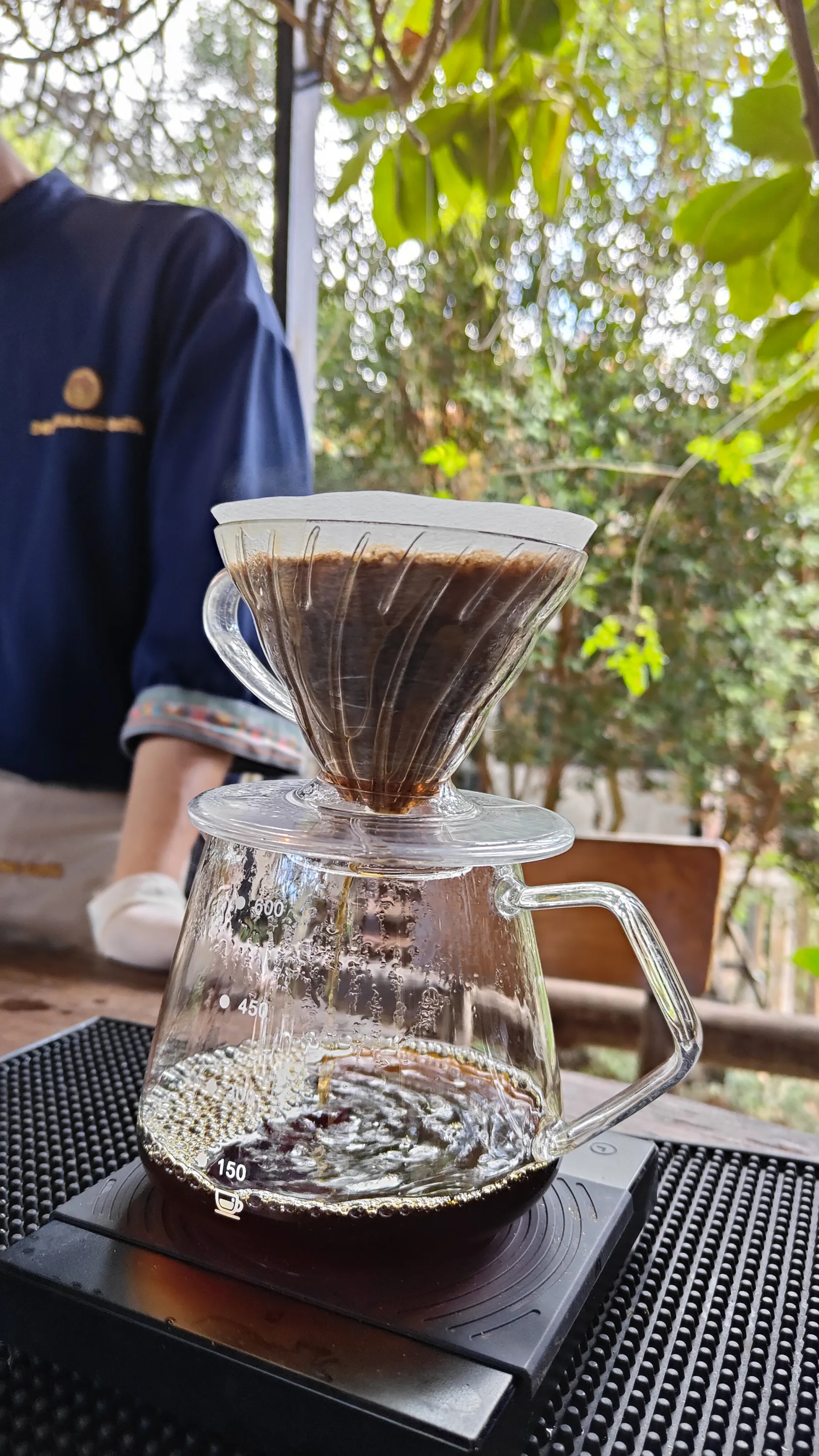 Doi chaang coffee