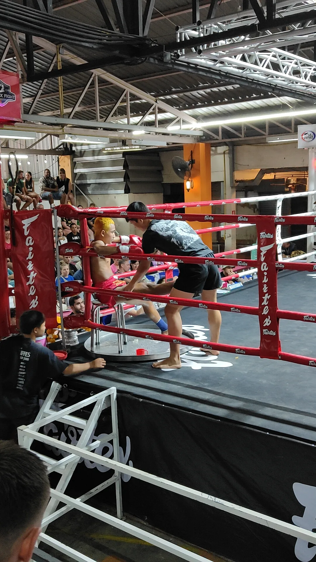 muay thai