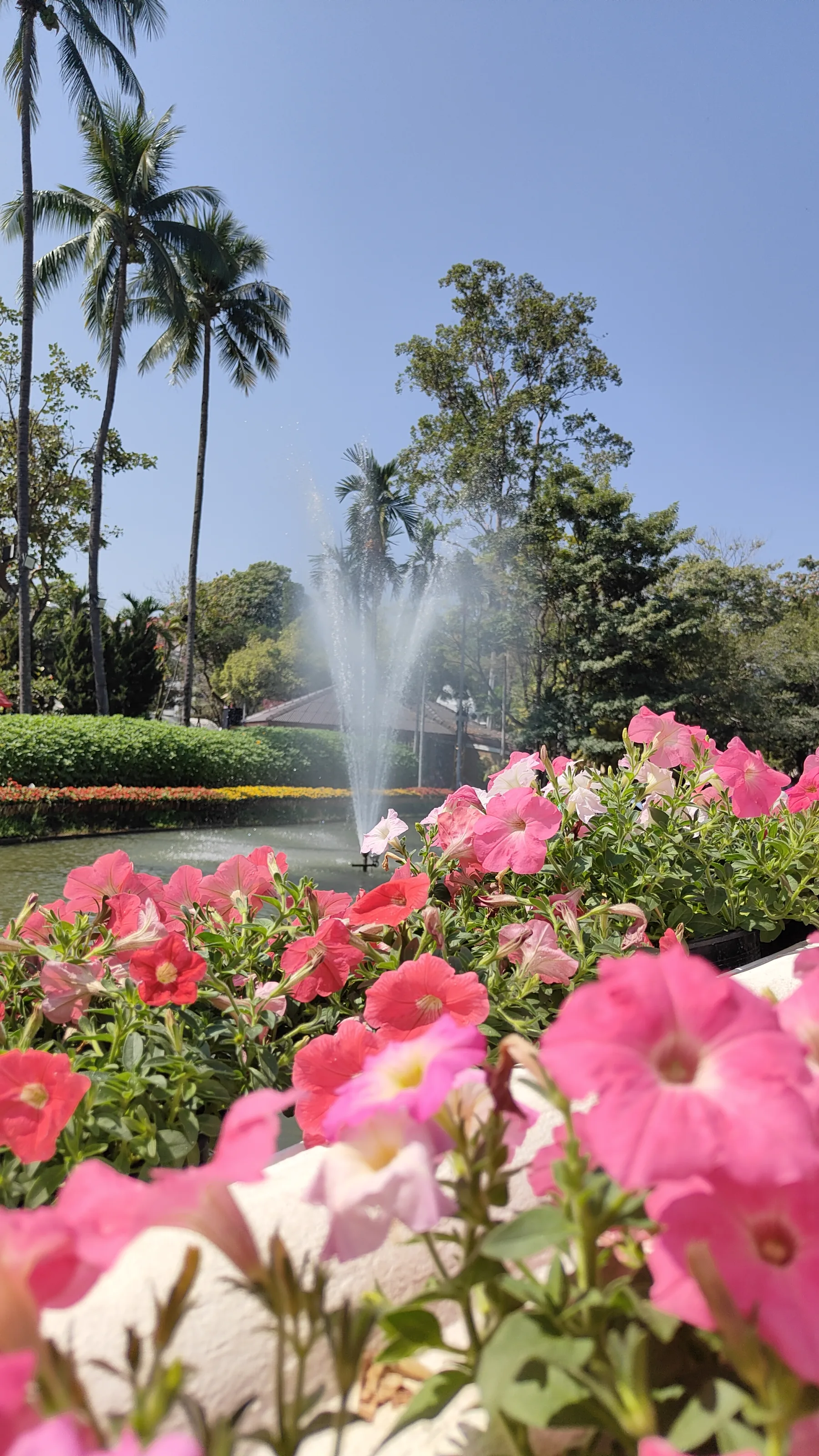 Nong Buak Haad Public Park