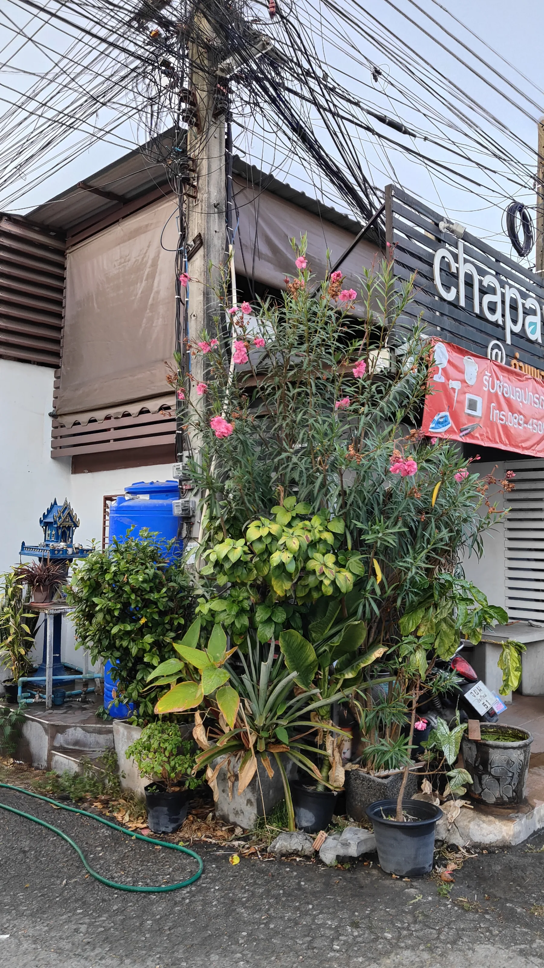 Chiang Mai