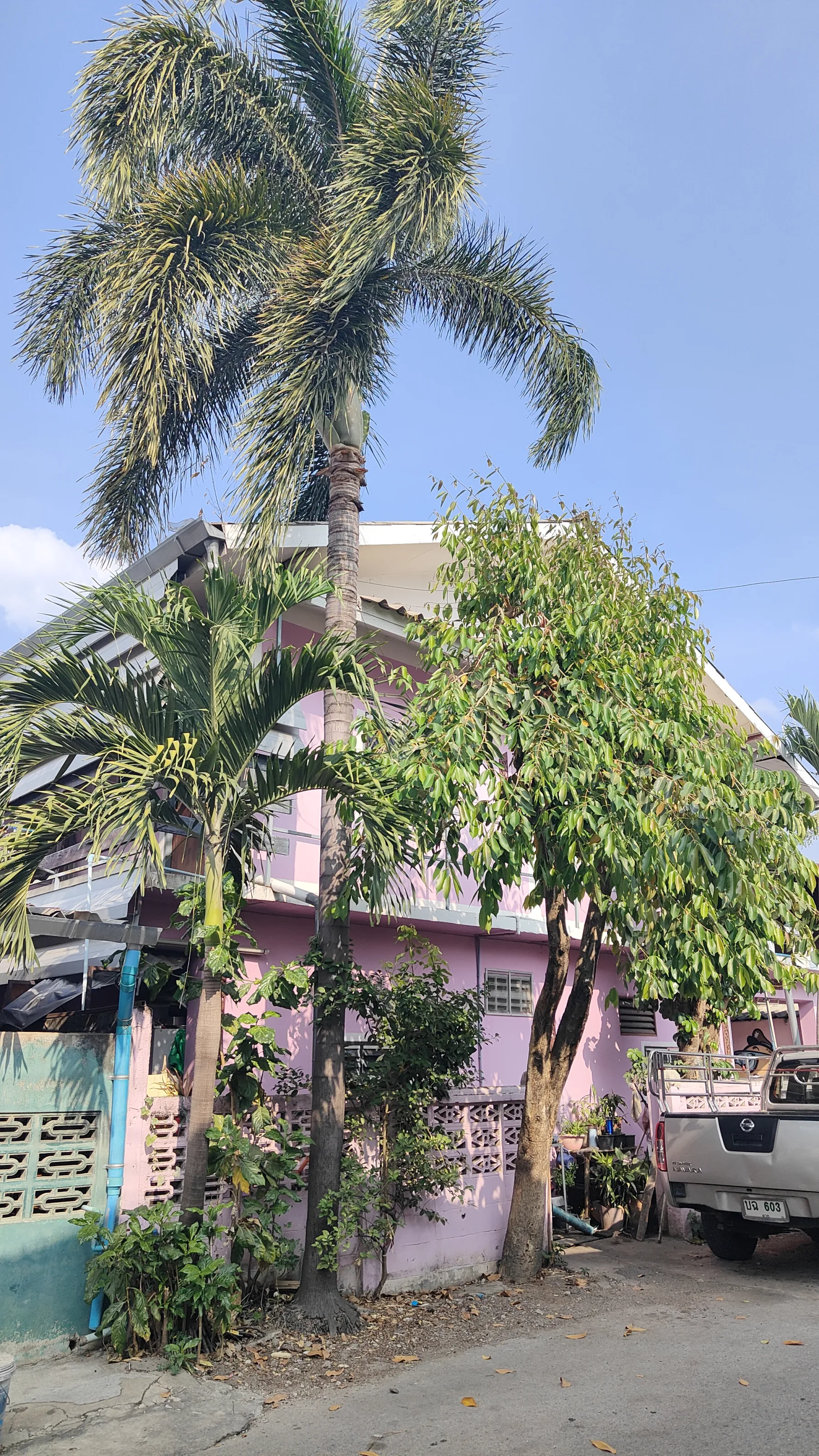 Chiang Mai