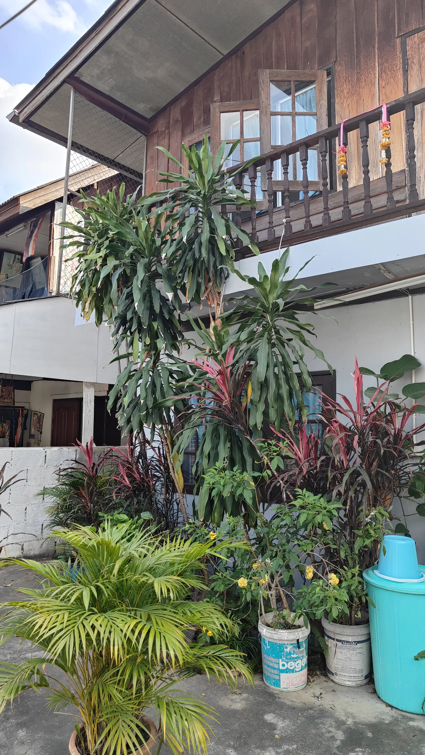 Chiang Mai