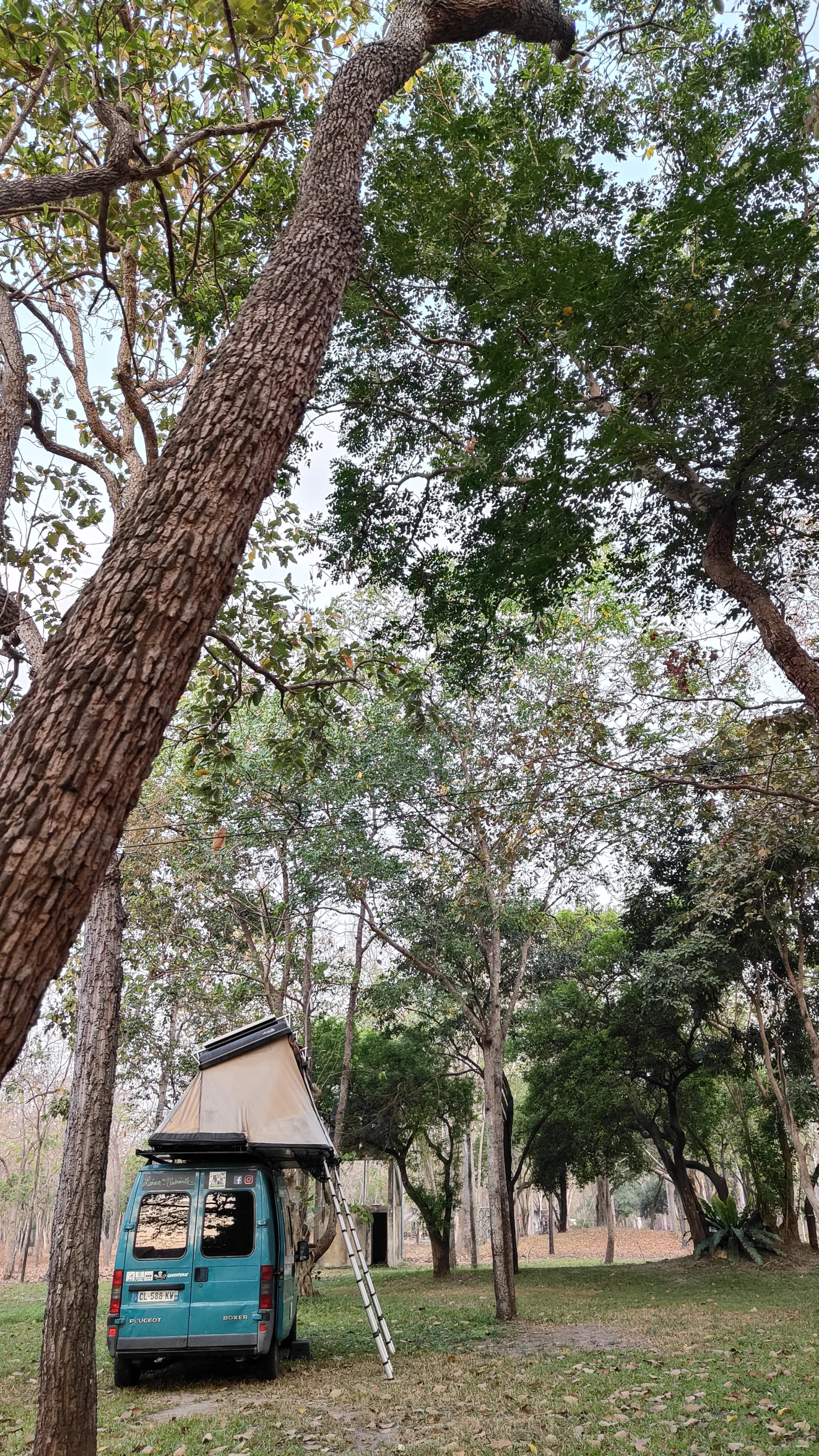 Forest Park