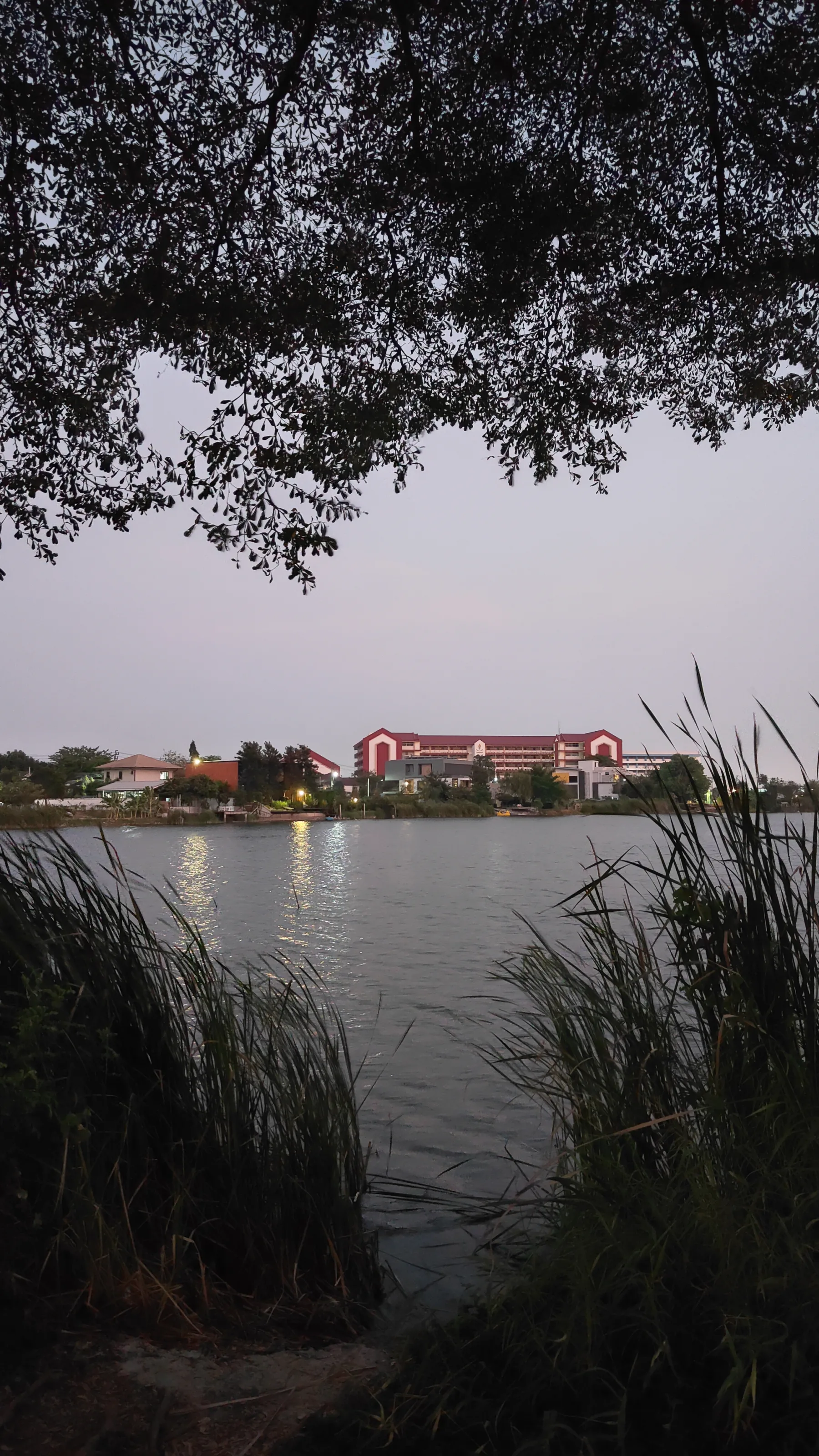 lac