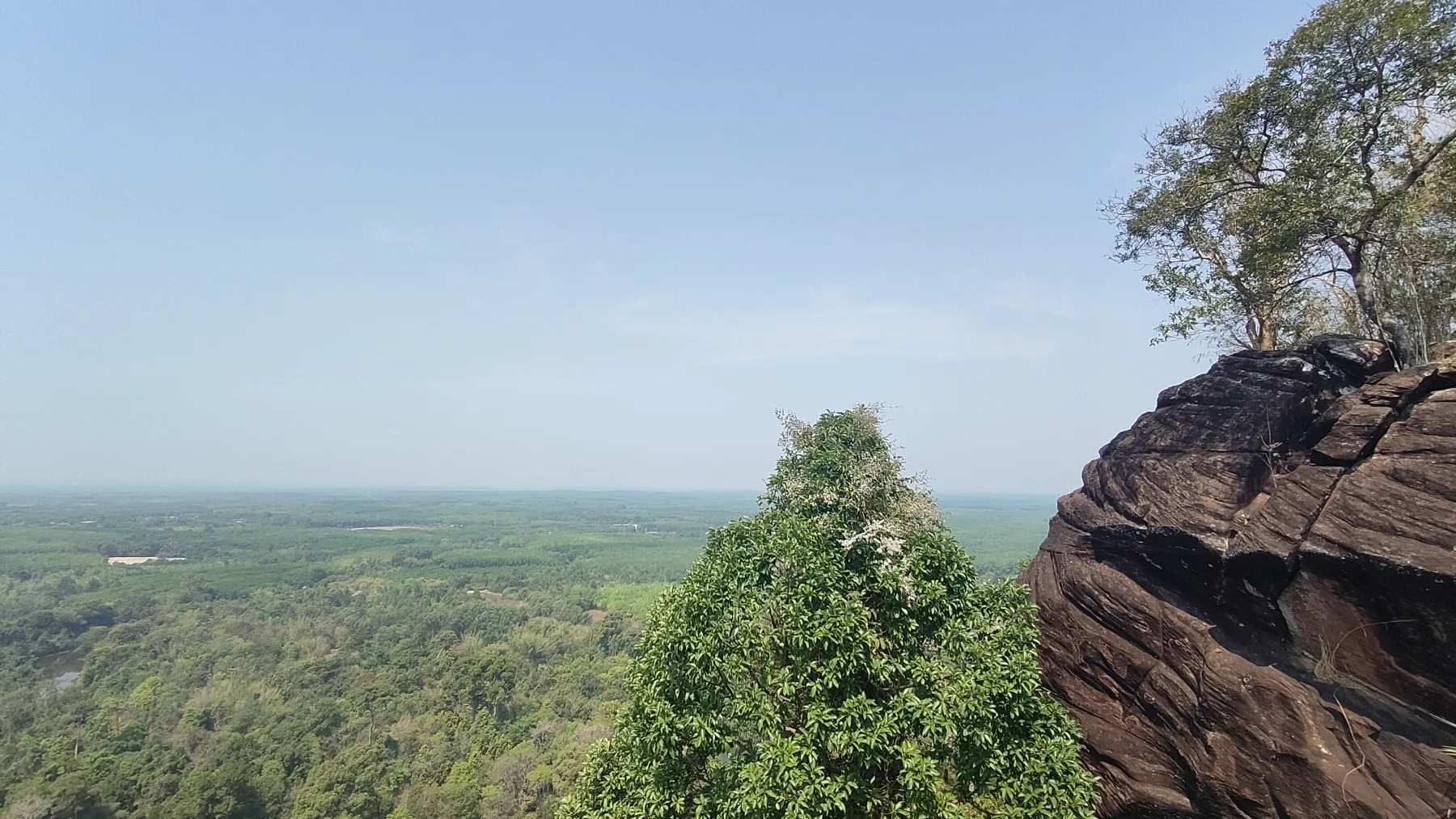 nature