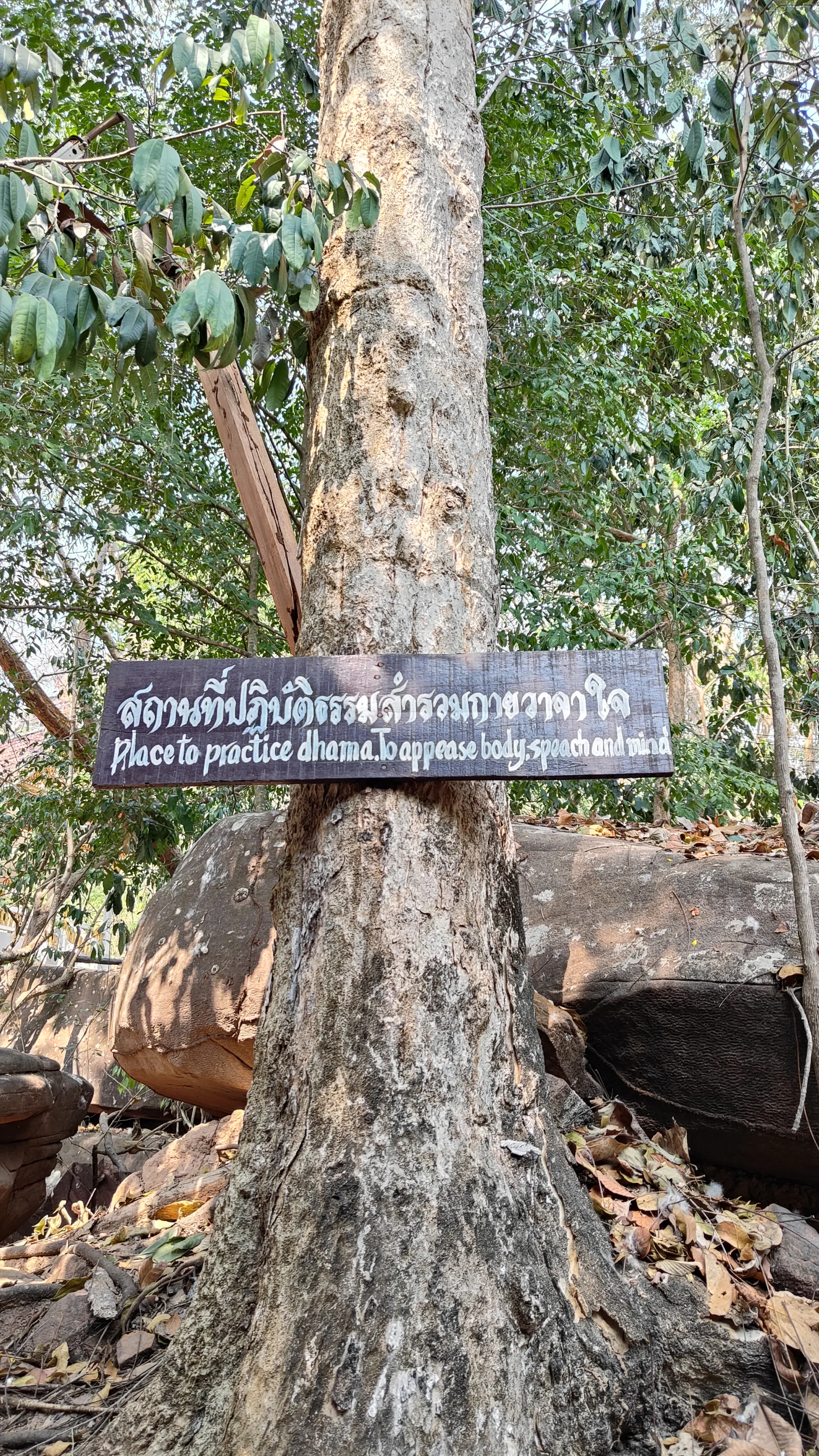 Wat Phu Tok
