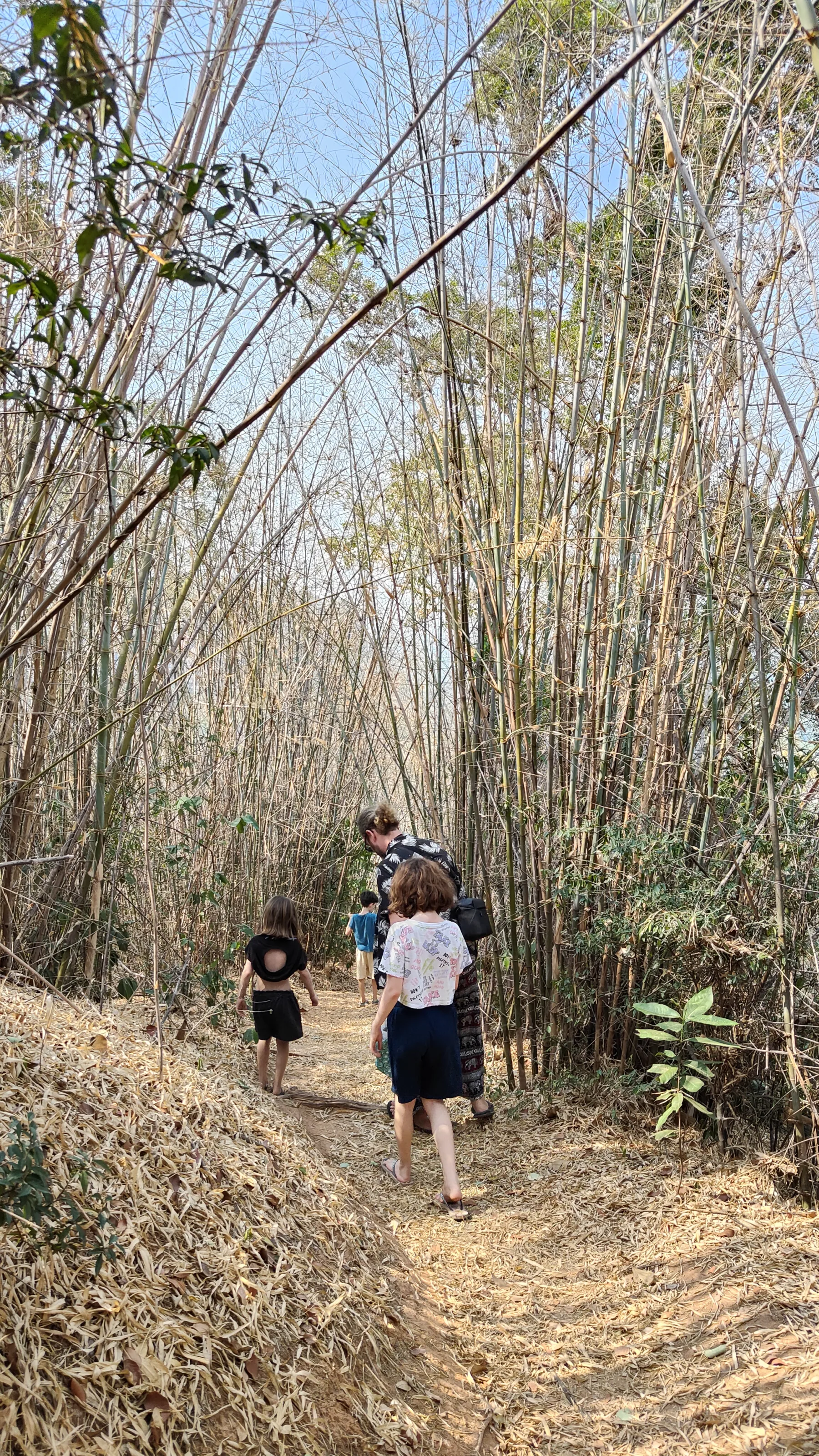 nature