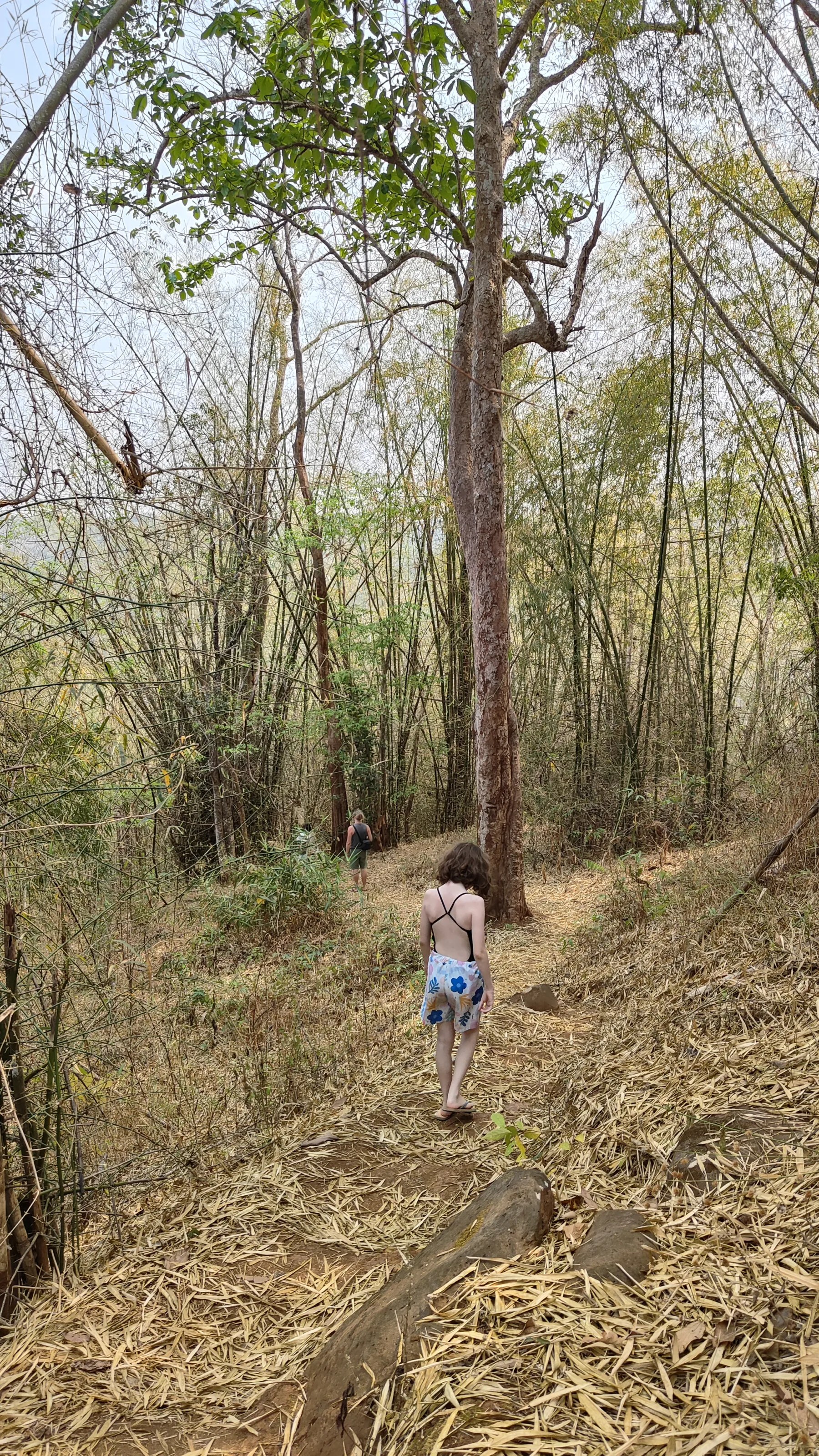 Plateau des Bolavens - Tad Jarou Halang