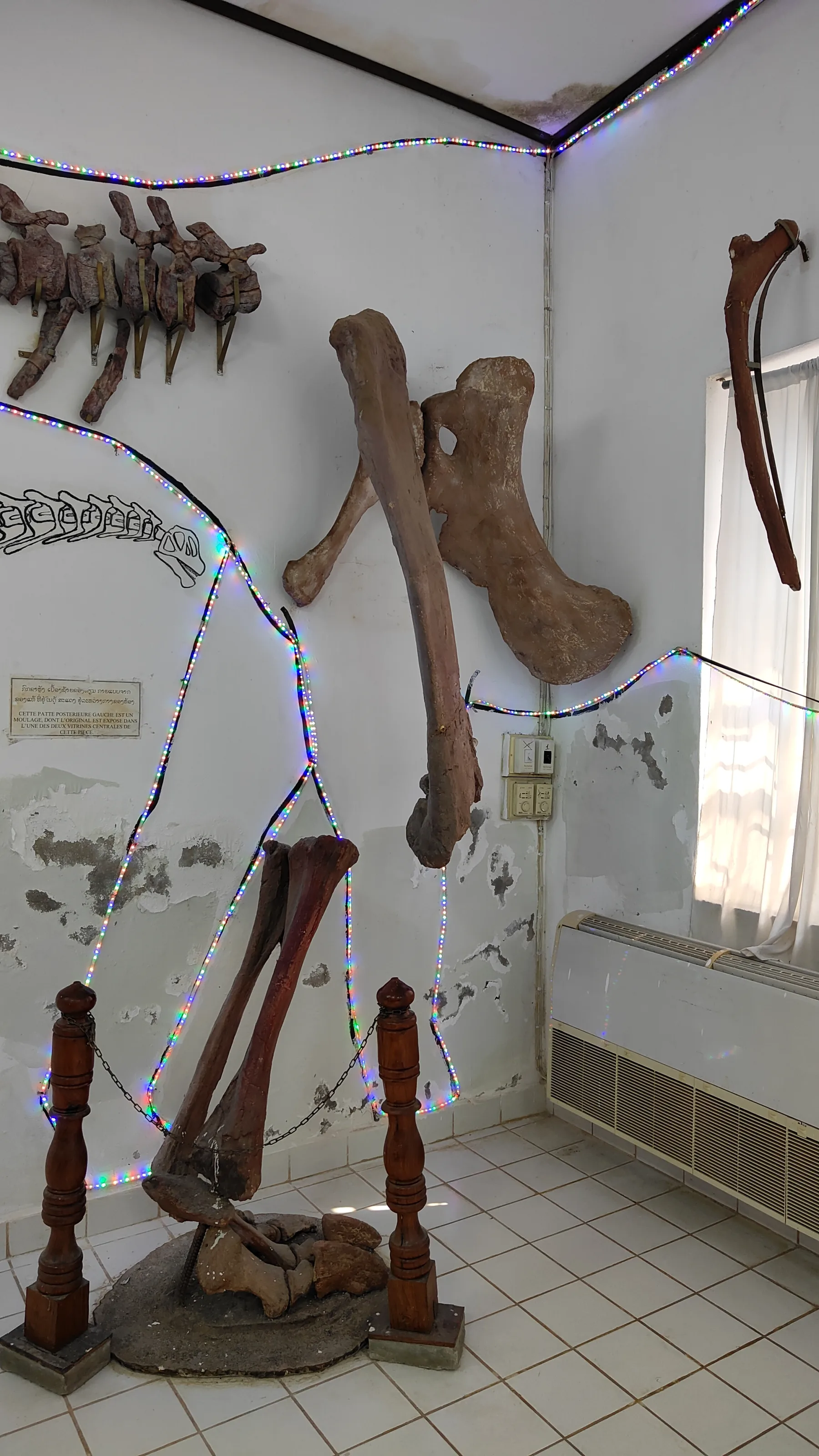 Savanaketh - musée dinosaure
