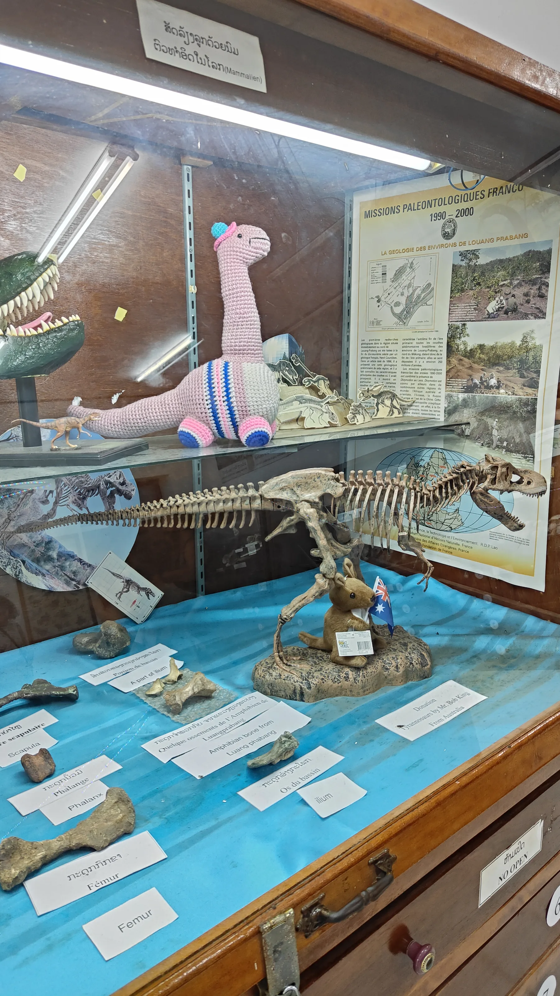 Savanaketh - musée dinosaure