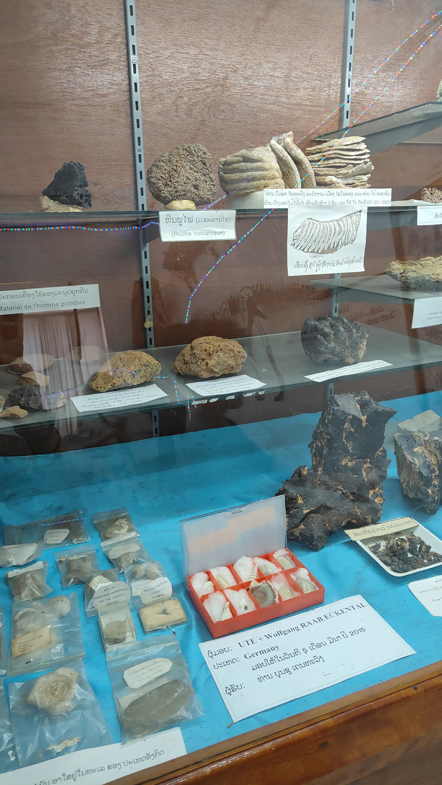 Savanaketh - musée dinosaure